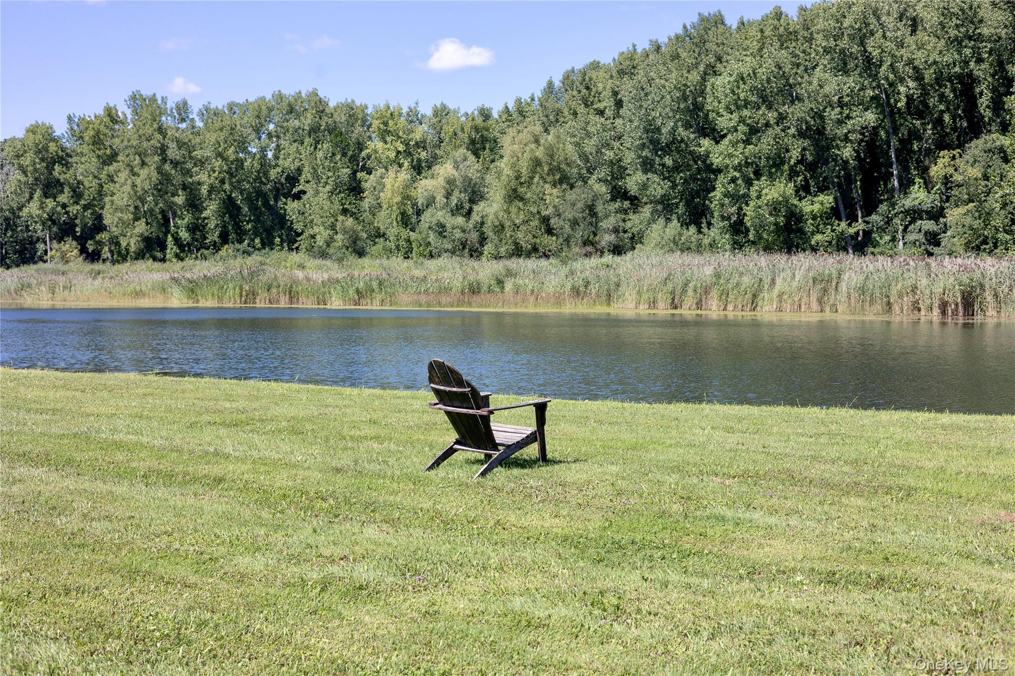 60 Briarwood Lane – For Sale photo 48