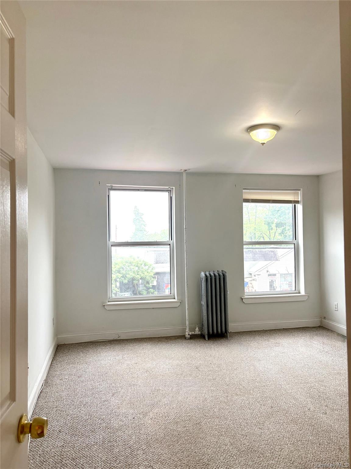 2 Morris Avenue, Unit 203 photo 18