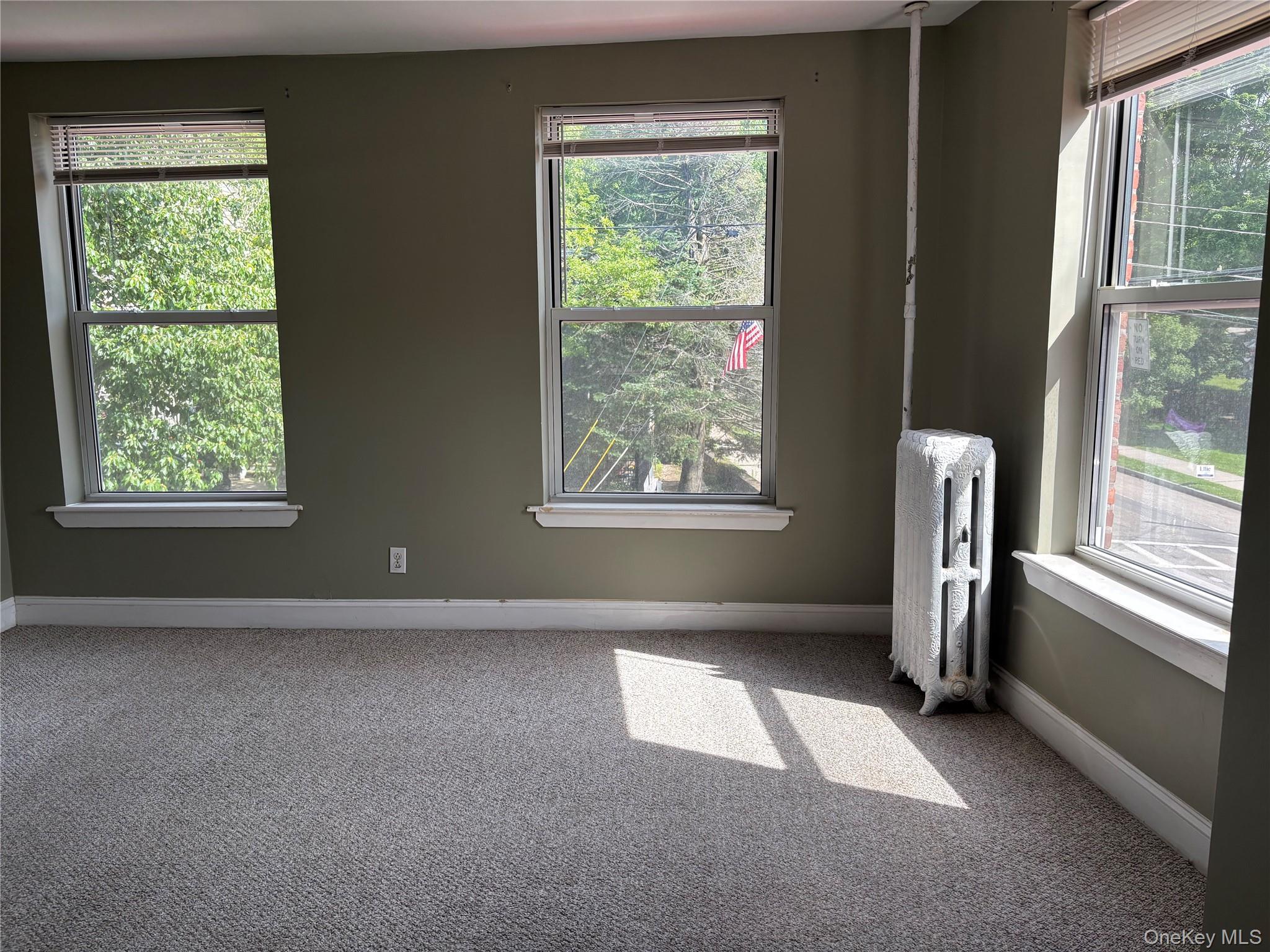 2 Morris Avenue, Unit 203 photo 20