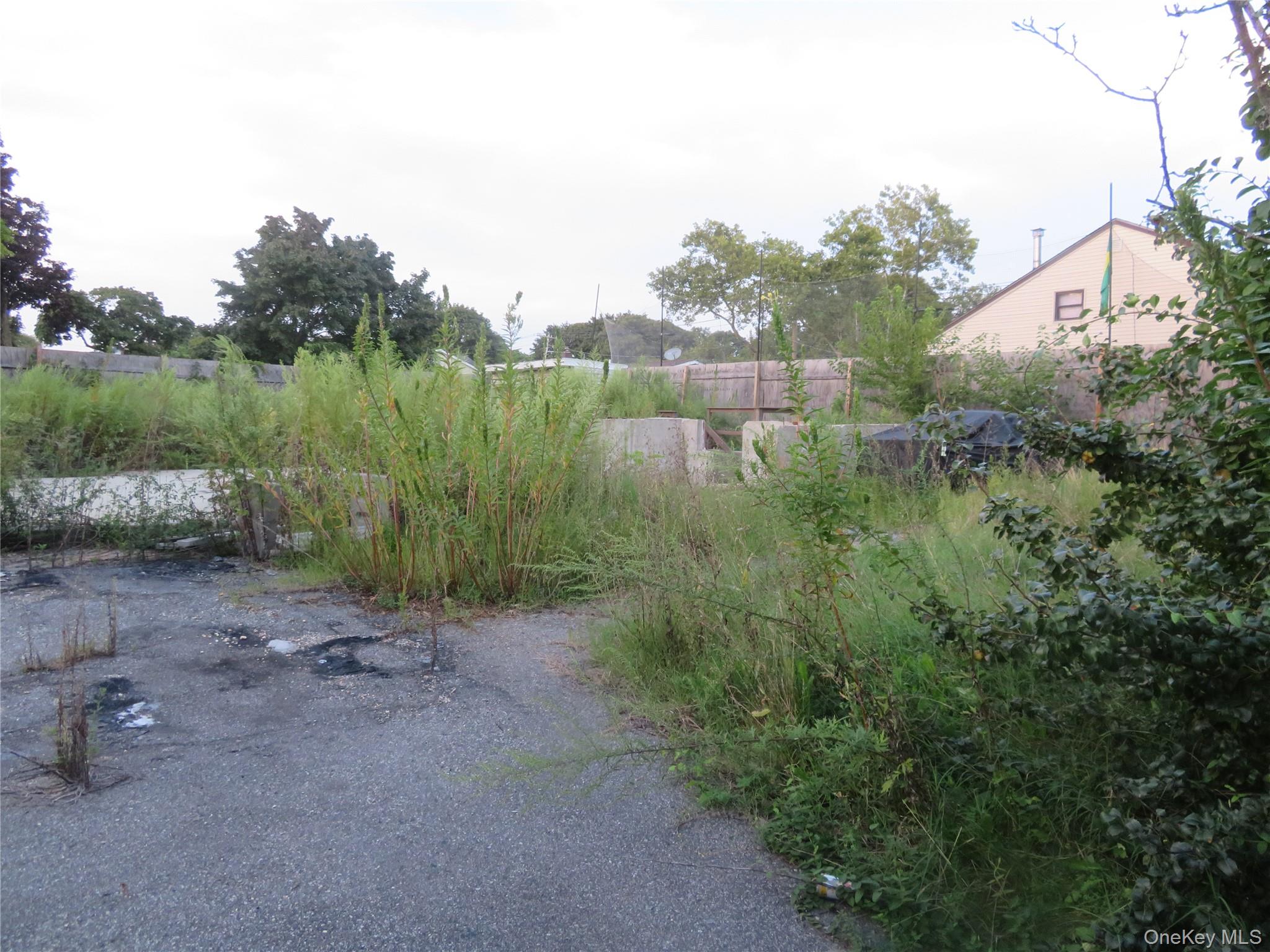 7 Palm Street – For Sale photo 3