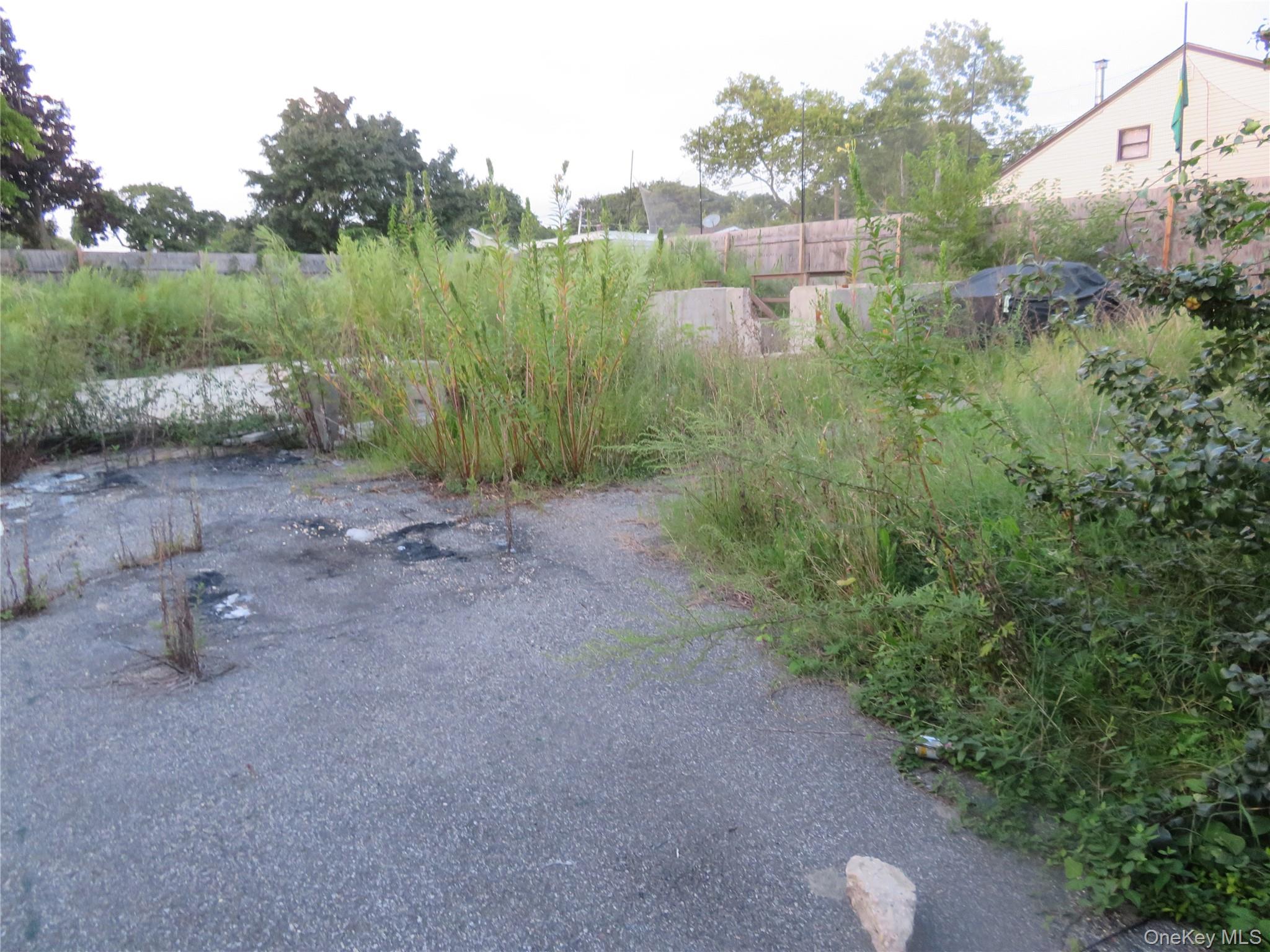 7 Palm Street – For Sale photo 4