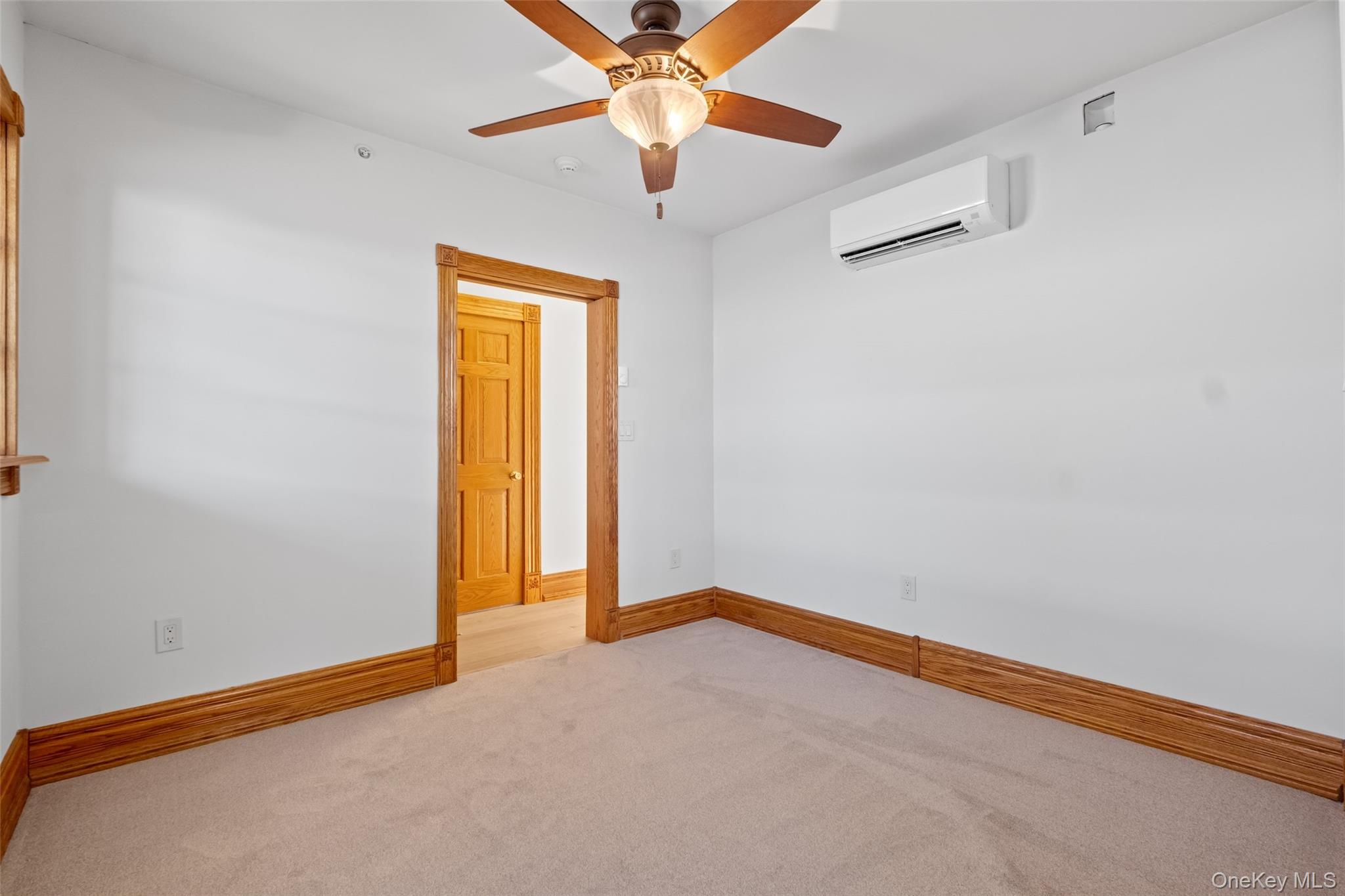 43 Ackerman Street – For Sale photo 37