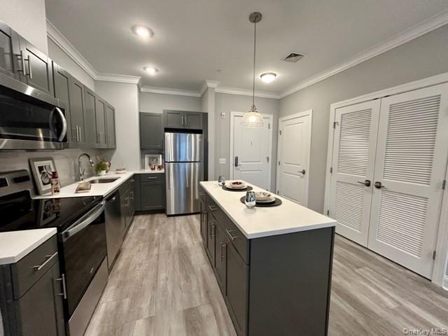 75 E Hoffman Avenue, Unit 3005 photo 8