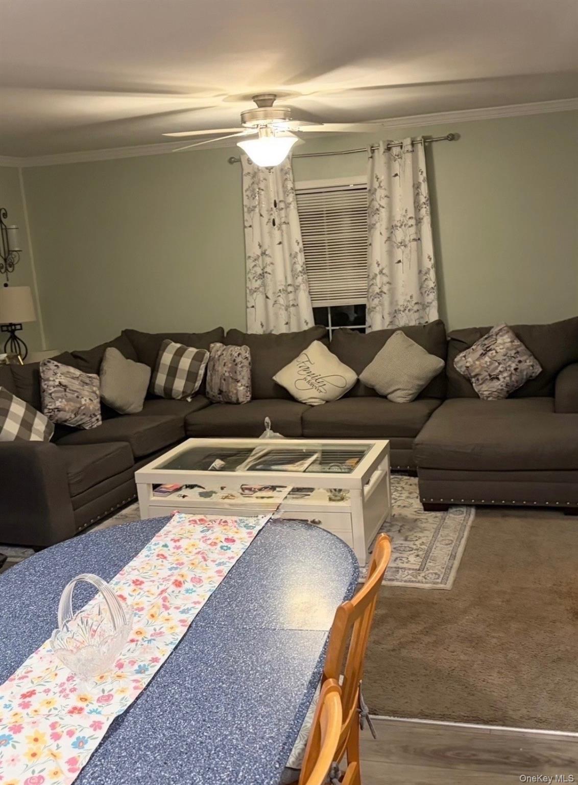 60 Celeste Drive – For Sale photo 4
