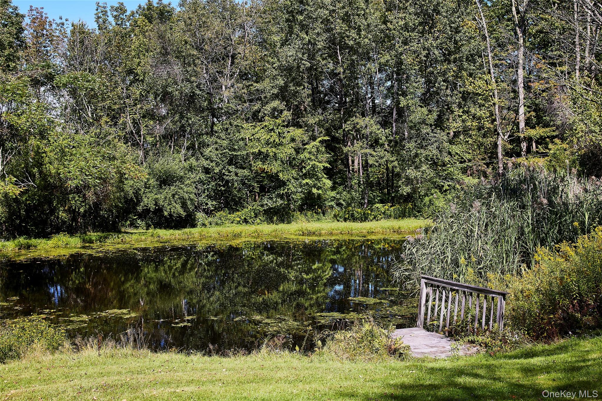 50 Hahn Road – For Sale photo 37