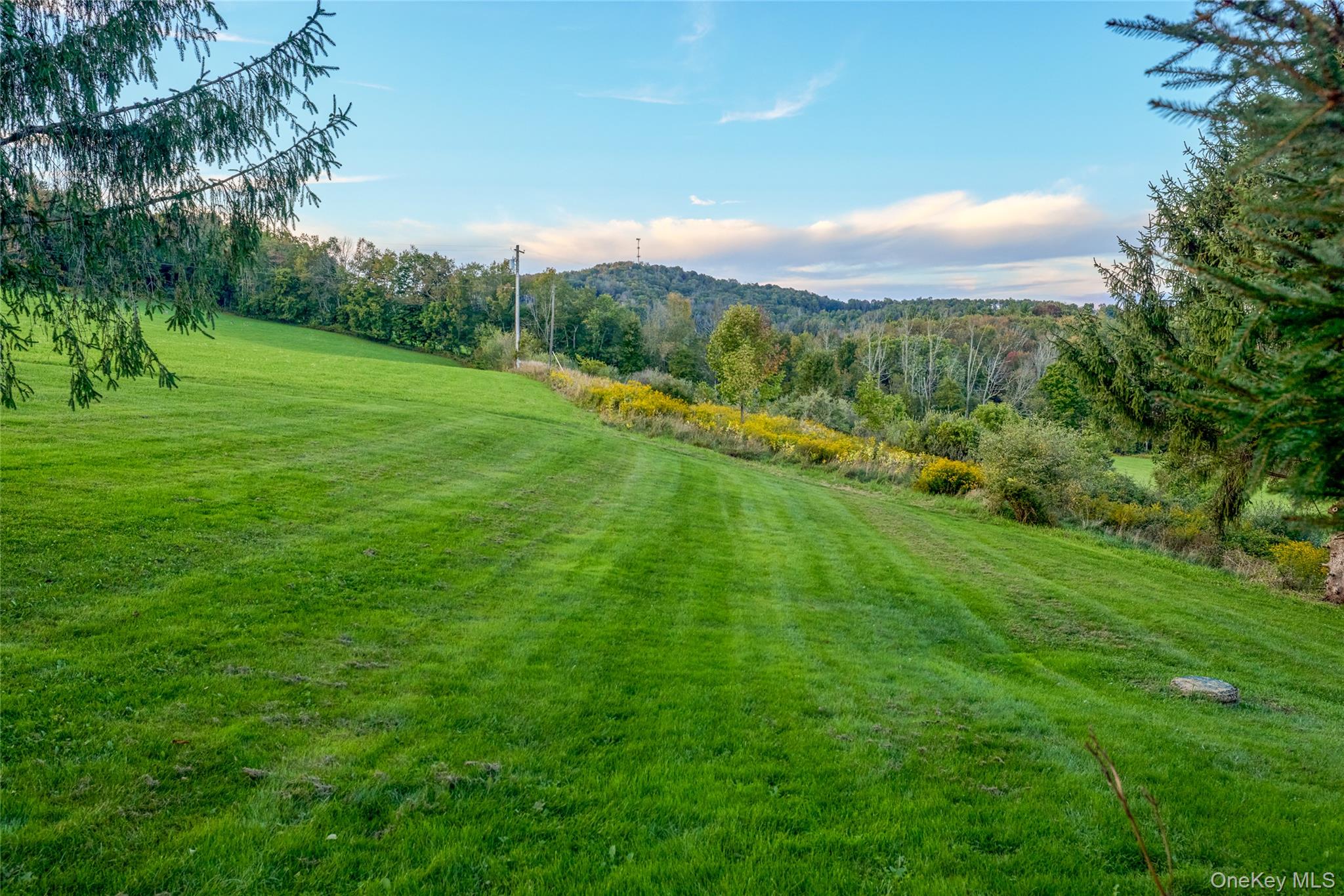 84 Kratz Road – For Sale photo 31