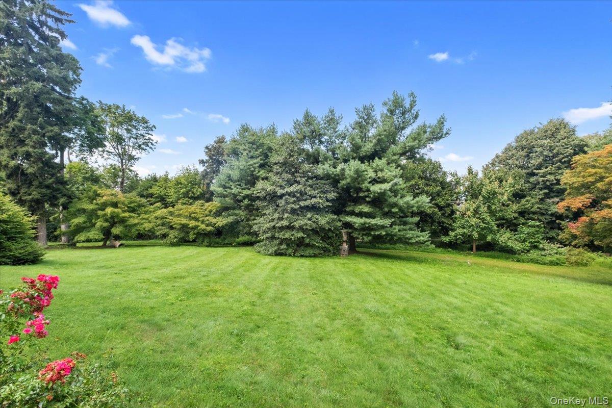 57 Cobb Lane – For Sale photo 34