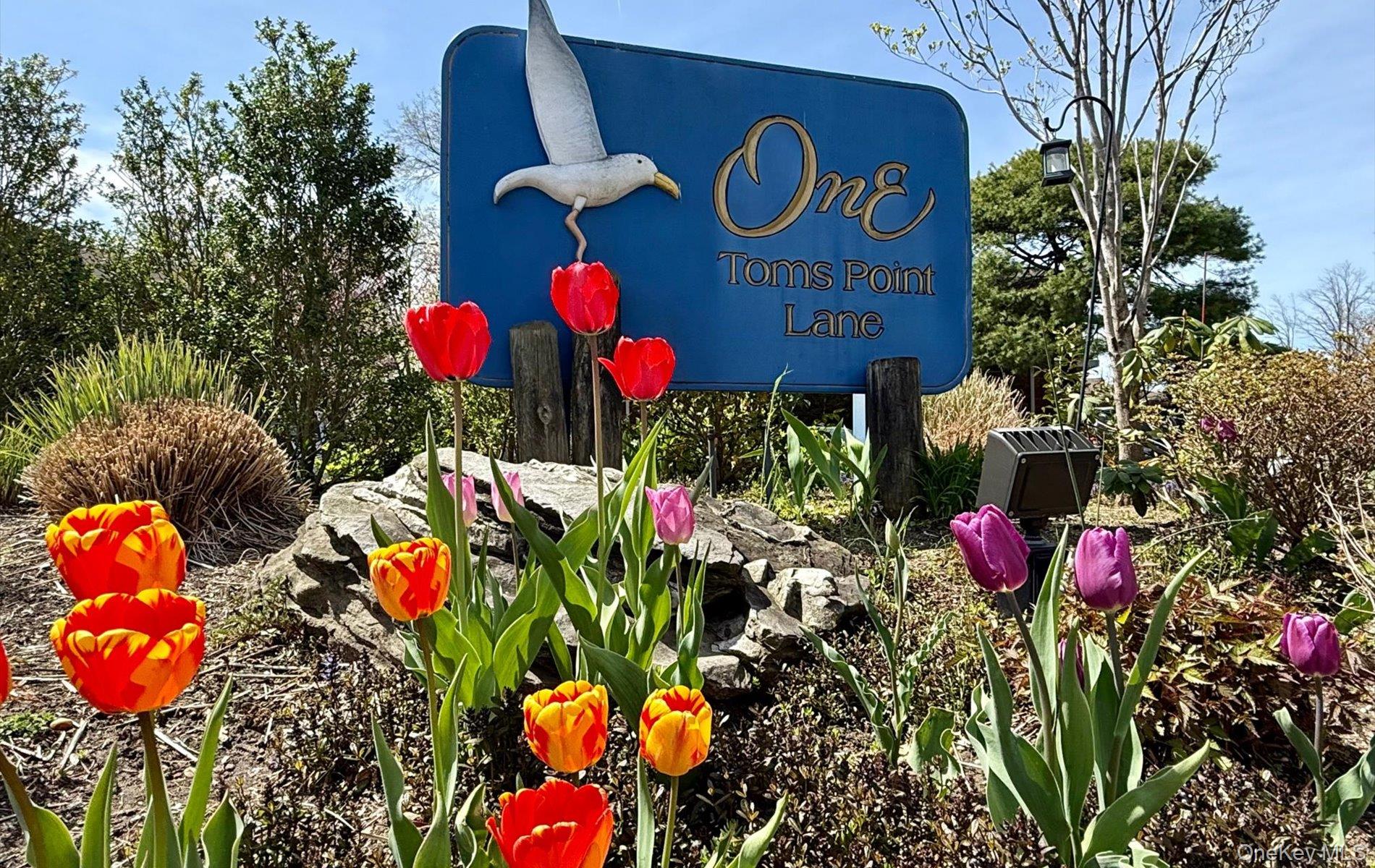 1 Toms Point Lane, Unit 17E photo 31