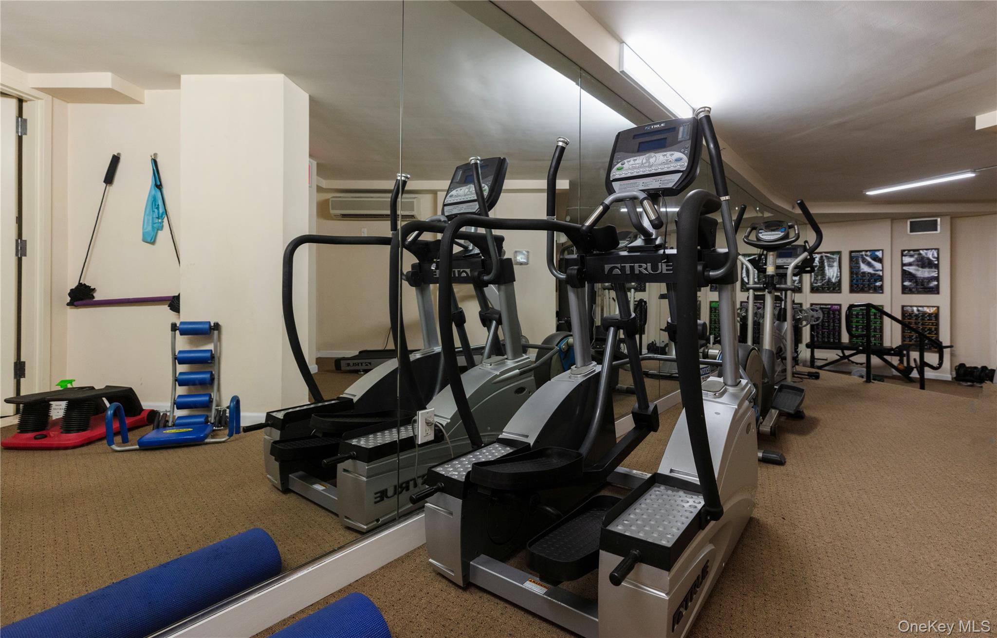 116-11 Curzon Road, Unit 4C photo 27