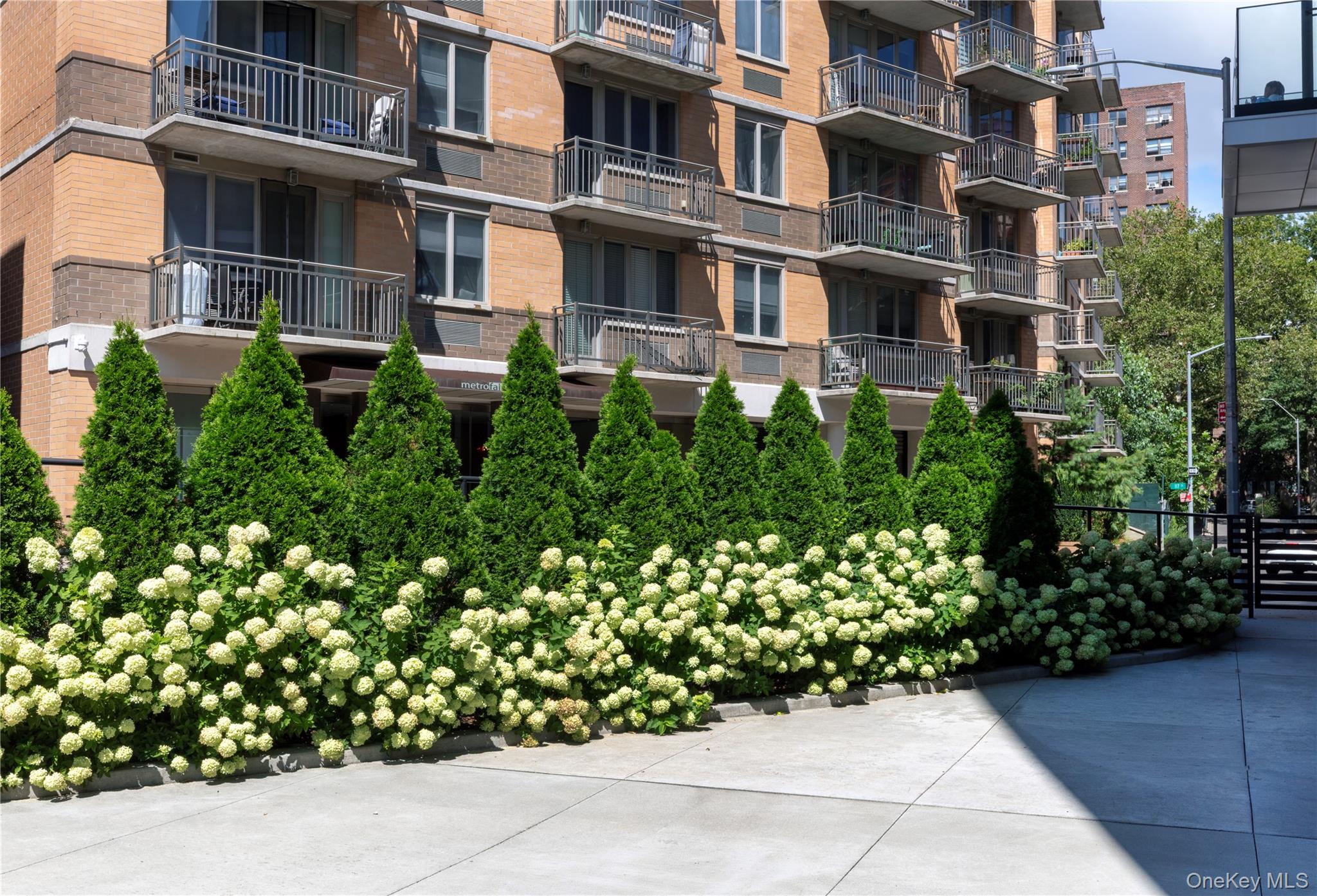 116-11 Curzon Road, Unit 4C photo 2