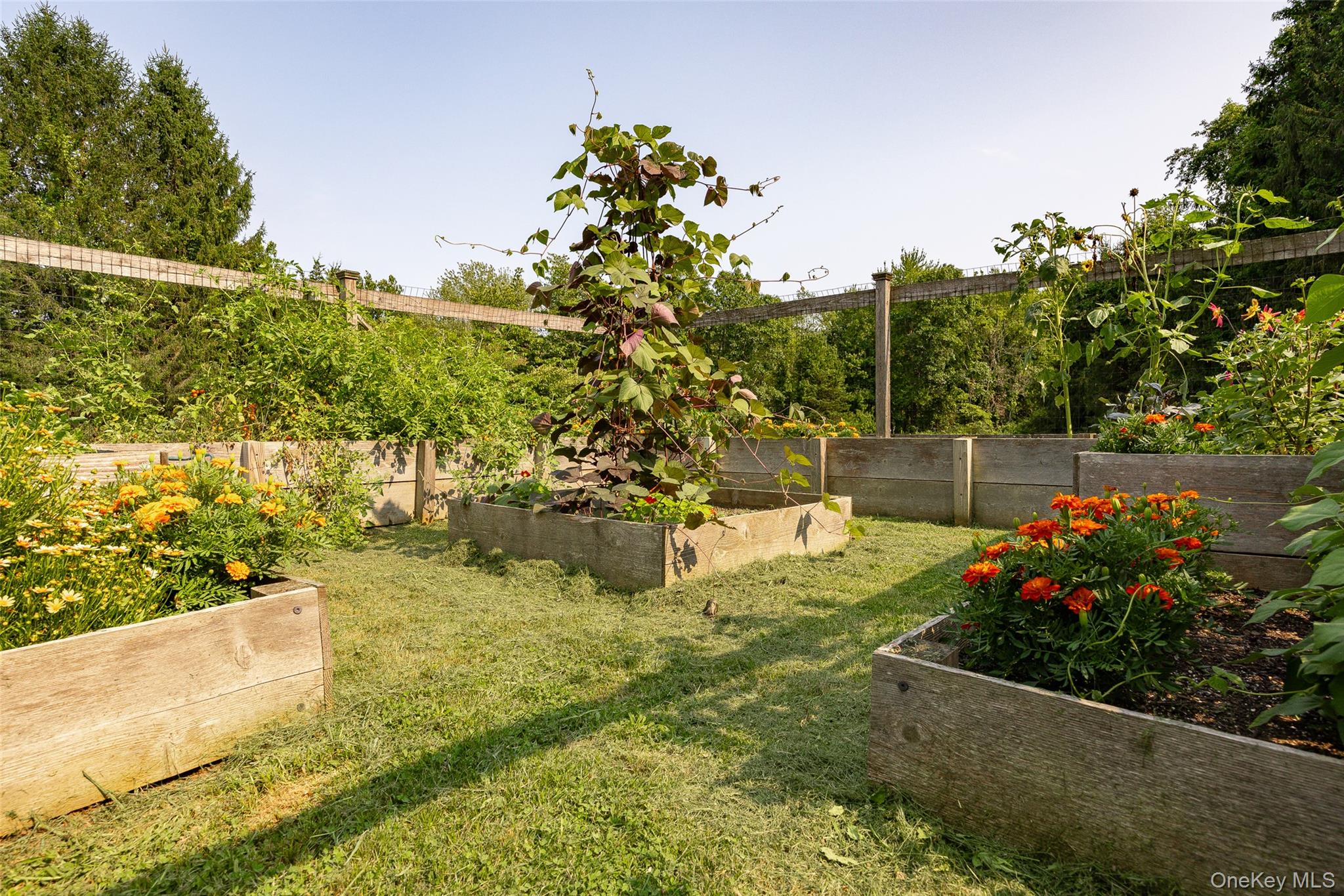 62 Frost Road – For Sale photo 26