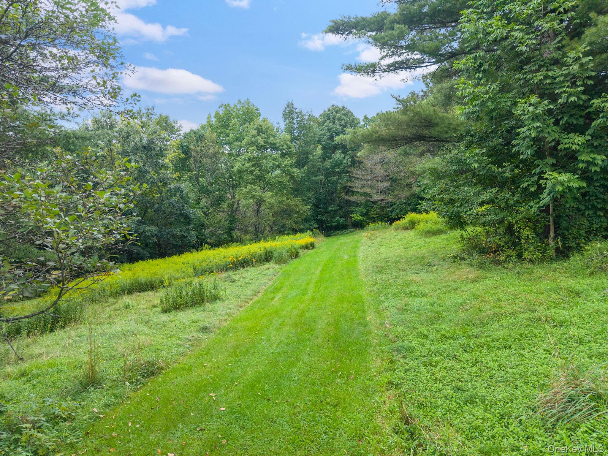 5206 Town Brook Road – For Sale photo 39