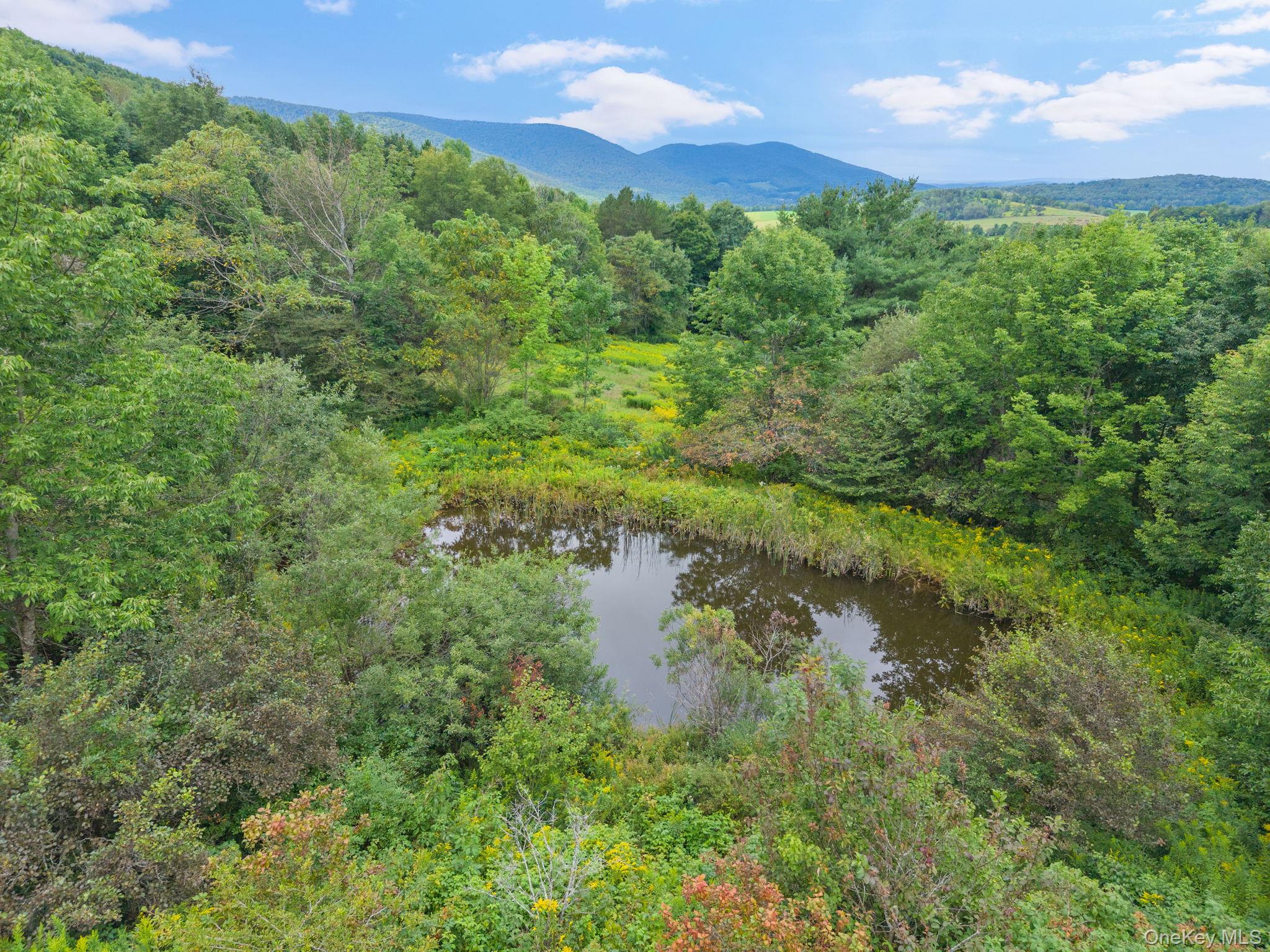 5206 Town Brook Road – For Sale photo 41
