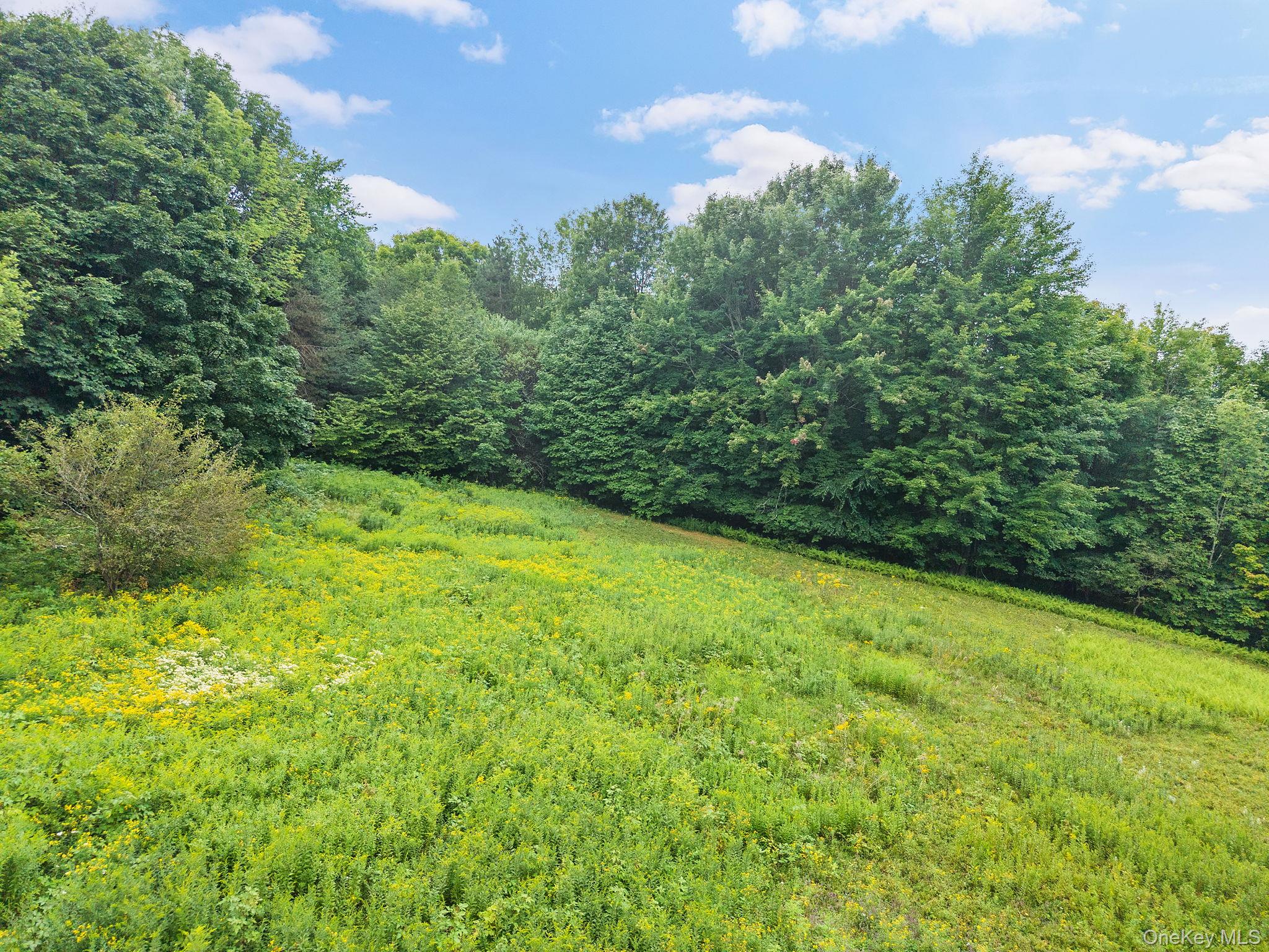 5206 Town Brook Road – For Sale photo 47