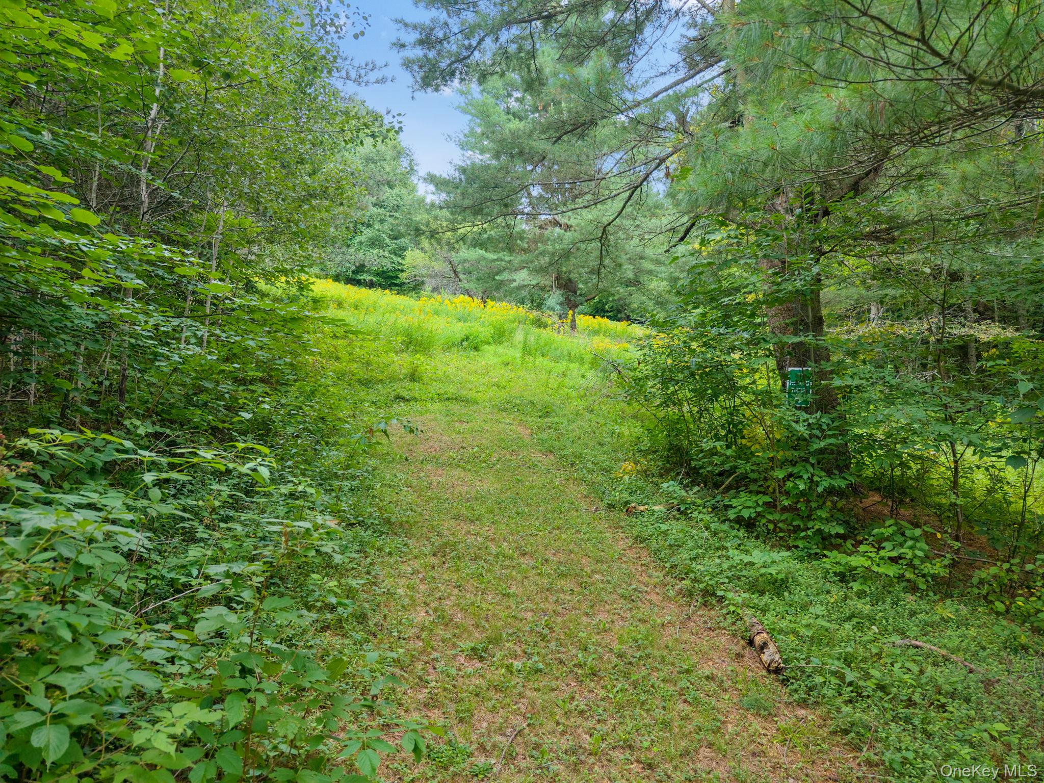 5206 Town Brook Road – For Sale photo 35