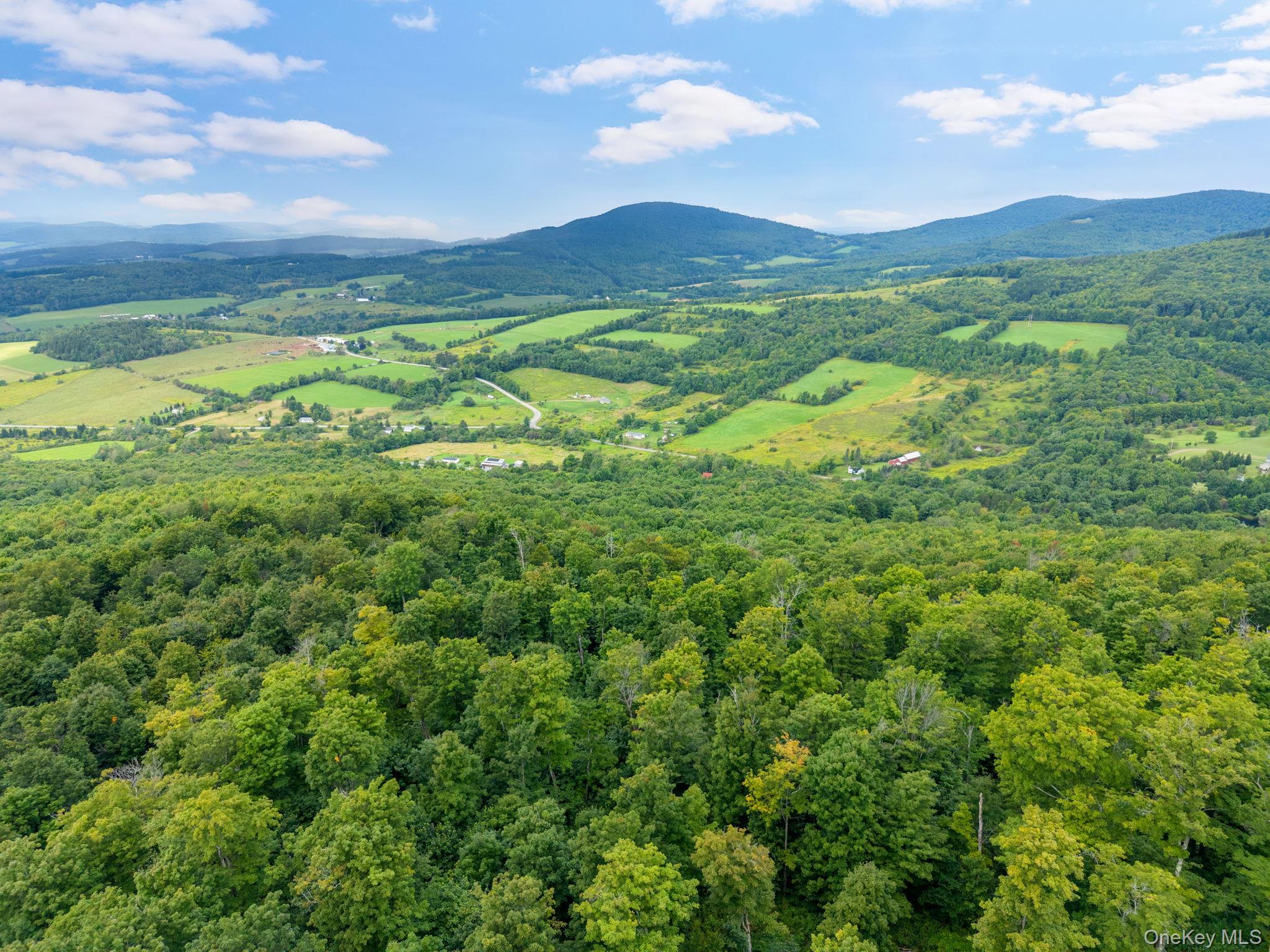 5206 Town Brook Road – For Sale photo 43