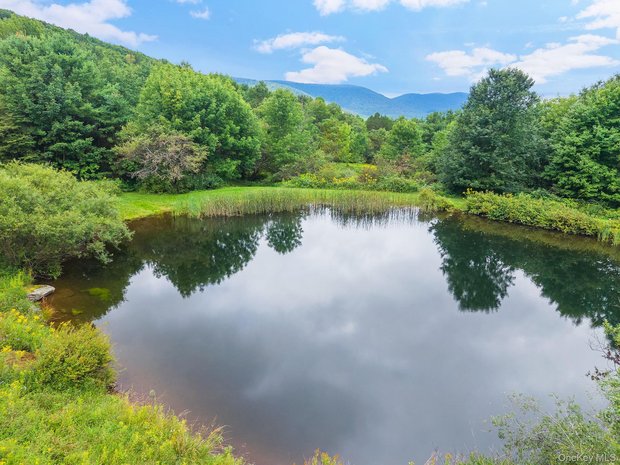5206 Town Brook Road – For Sale photo 40