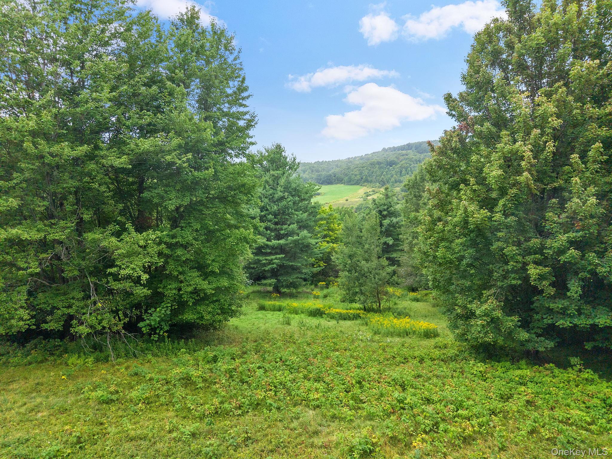 5206 Town Brook Road – For Sale photo 46