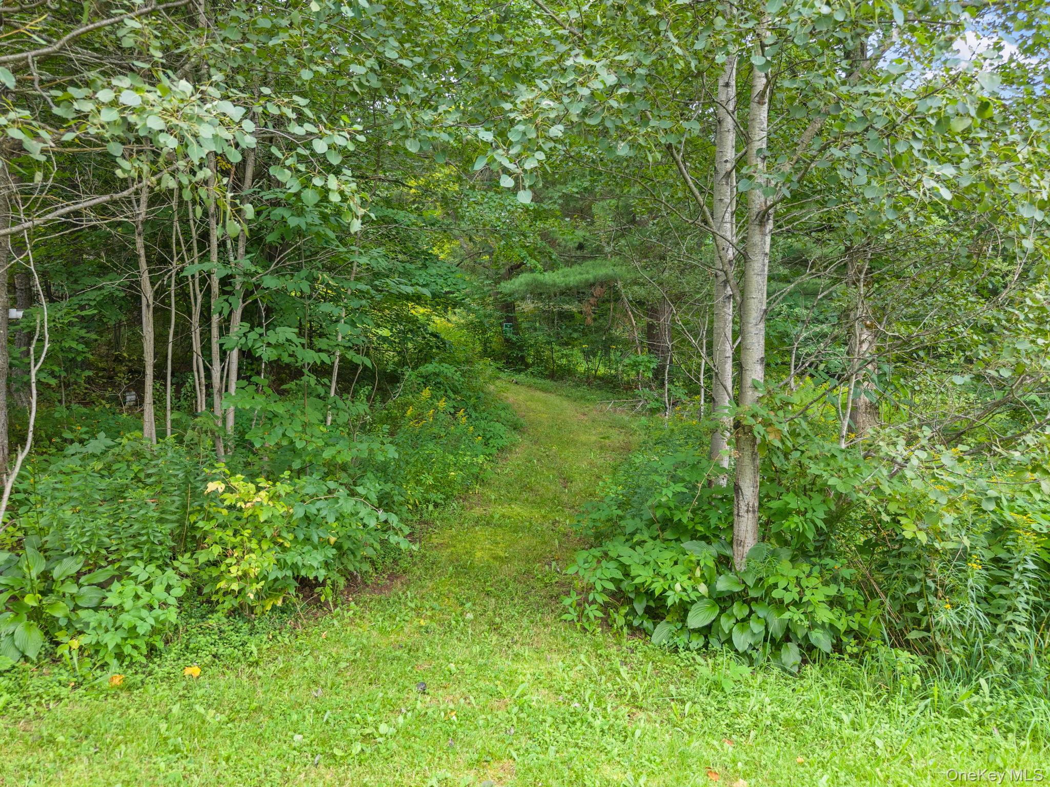 5206 Town Brook Road – For Sale photo 34