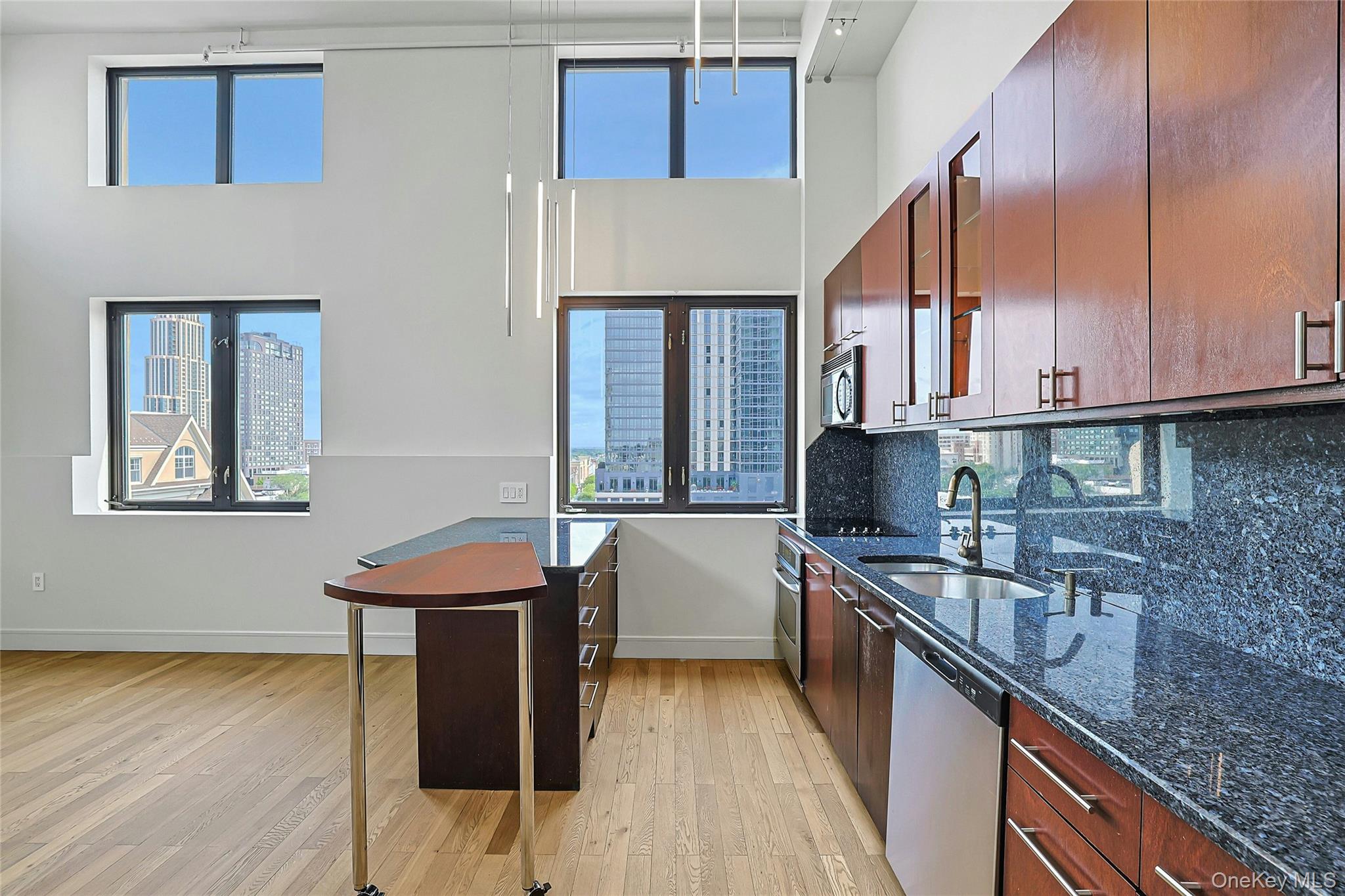 25 Leroy Place, Unit PH1 photo 21