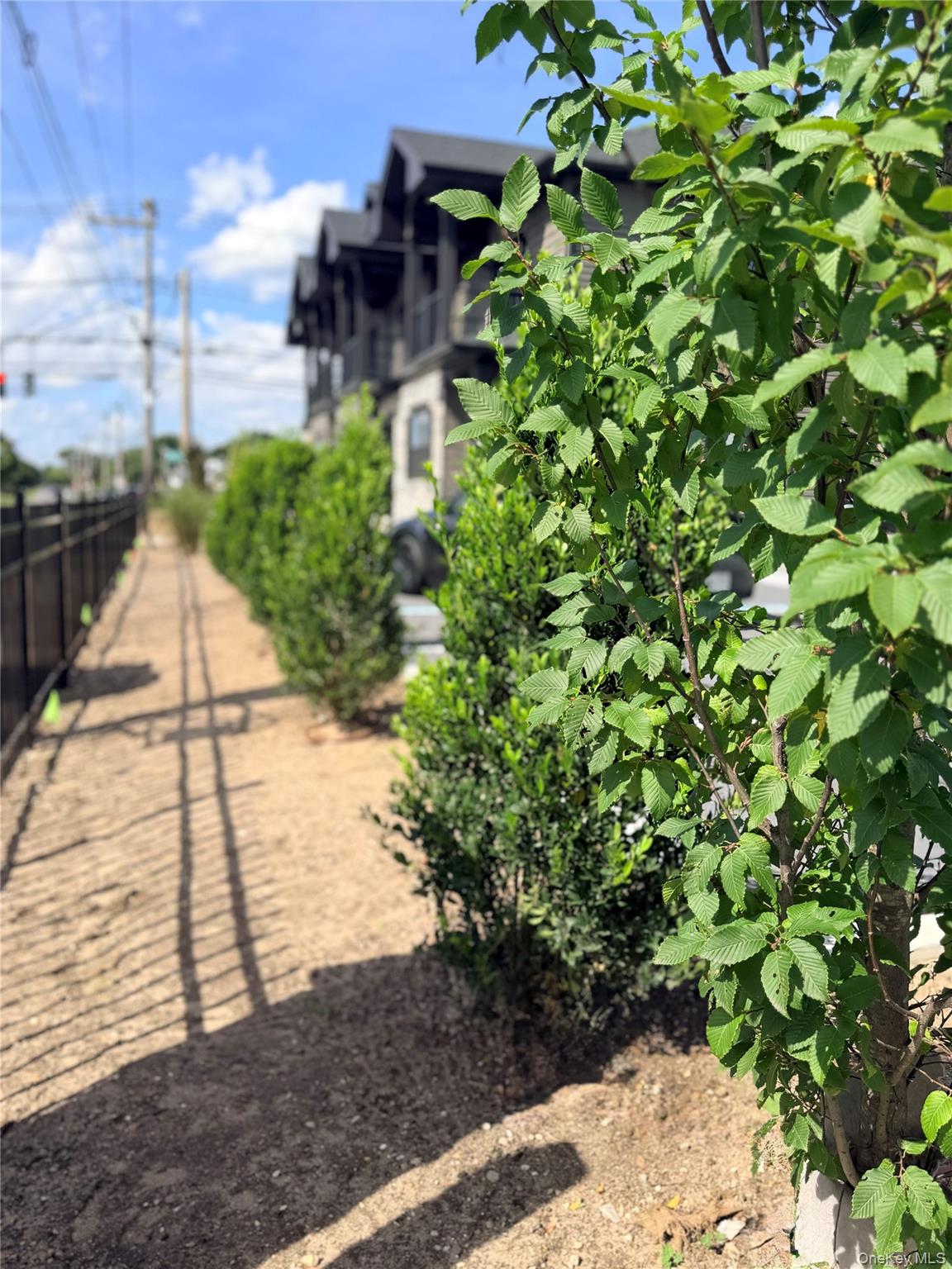 1220 Doges Promenade, Unit 1A photo 6