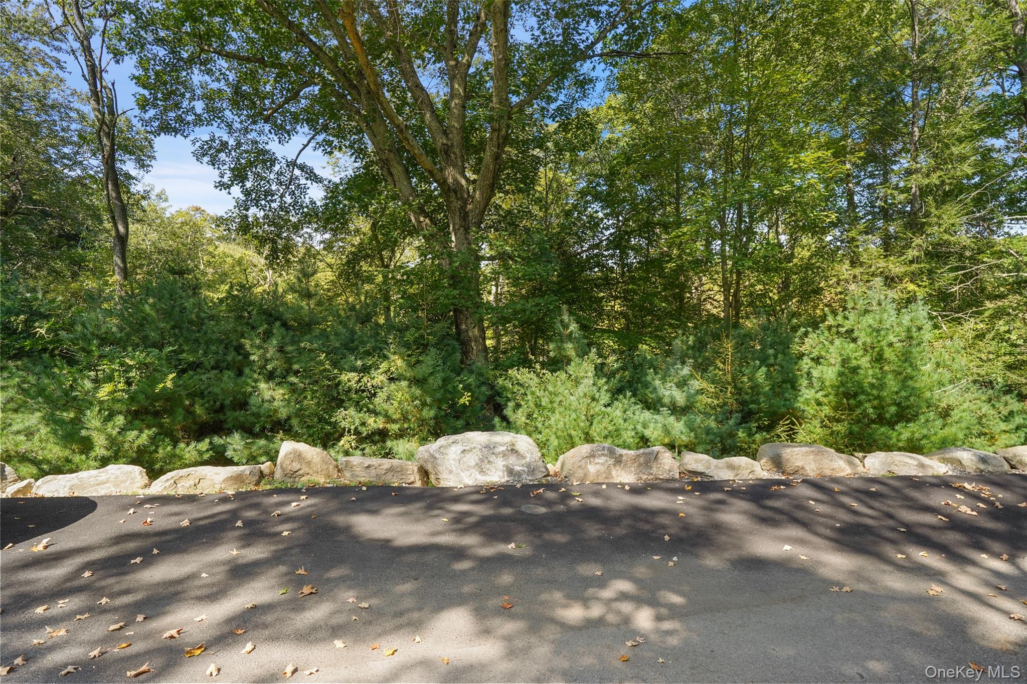 154 Barnegat Road, Unit A photo 17