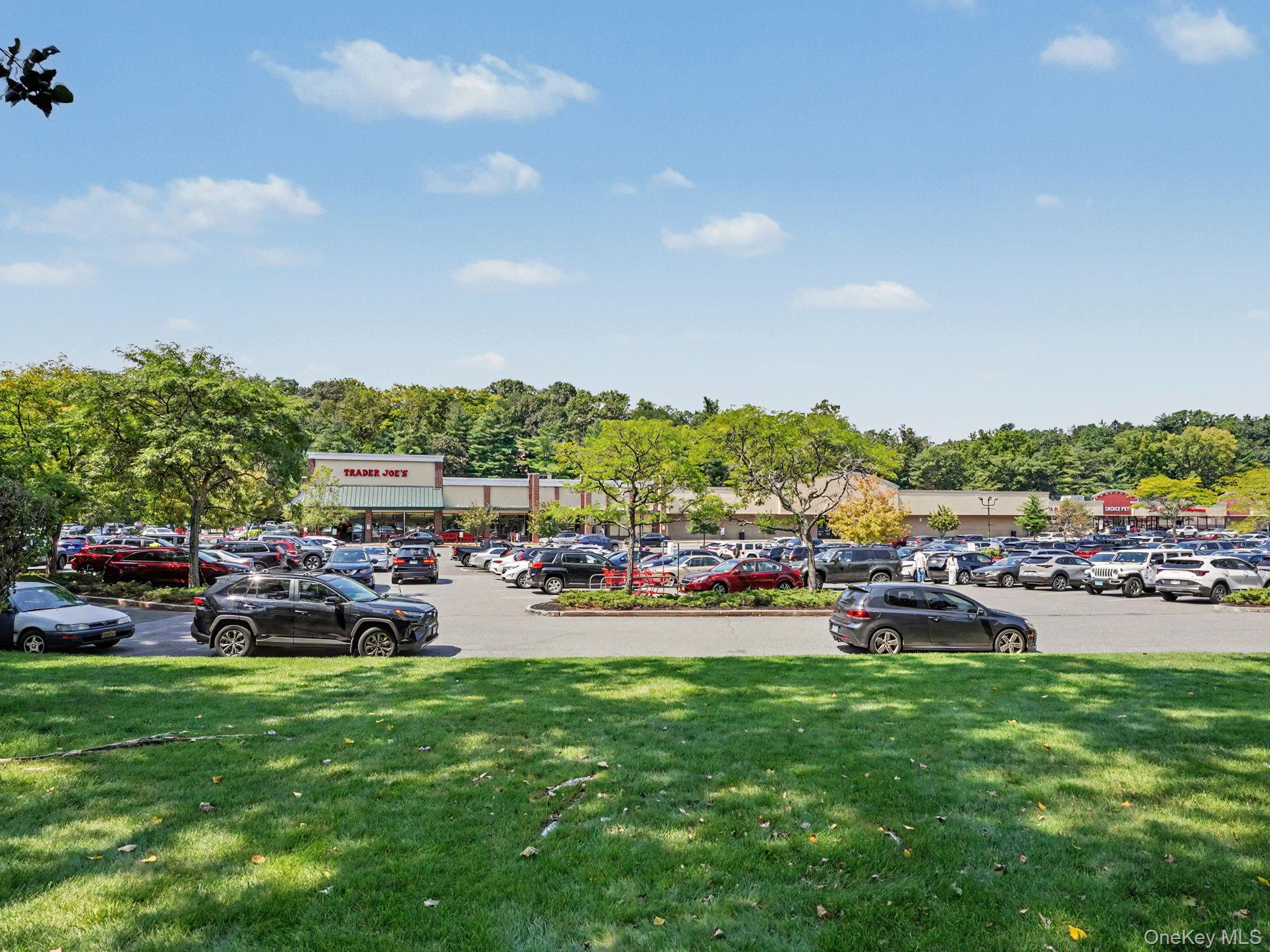 30 E Hartsdale Avenue, Unit 3E photo 28