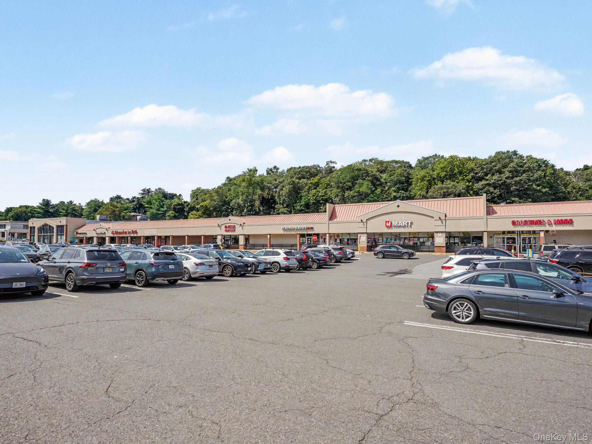 30 E Hartsdale Avenue, Unit 3E photo 29