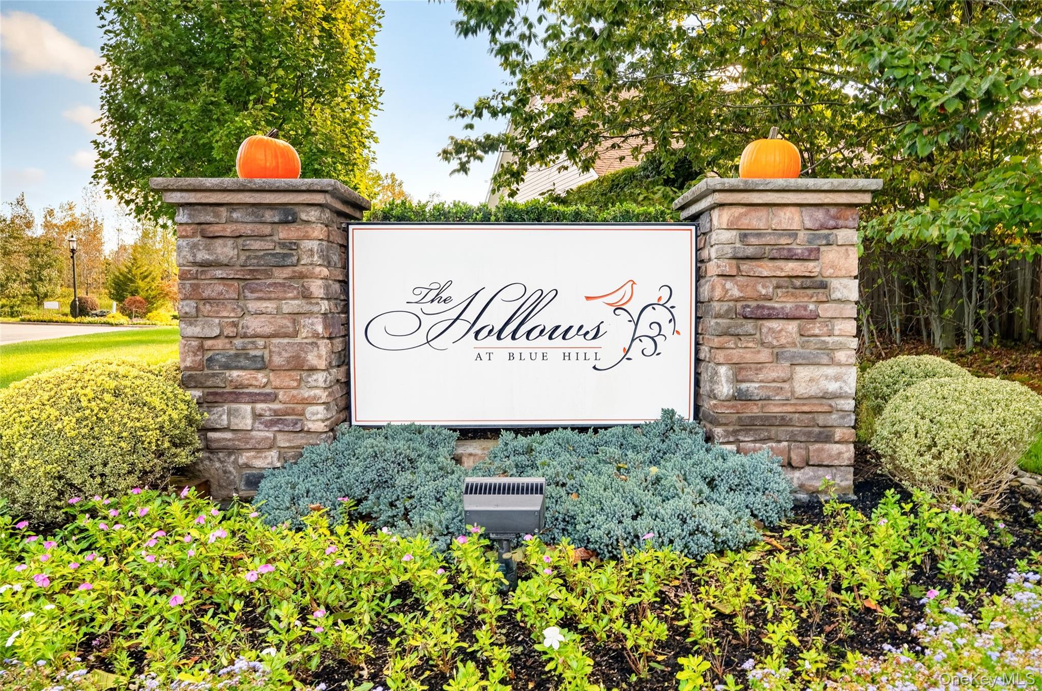 6201 Fred Ill Jr Court – For Sale