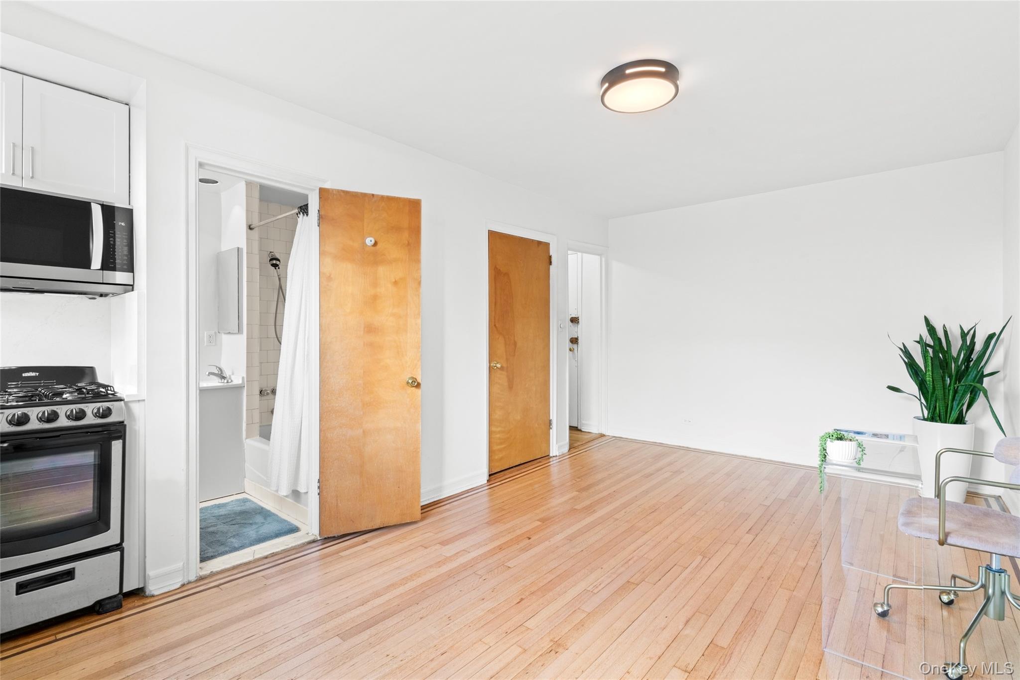 300 8th Avenue, Unit 4N photo 4