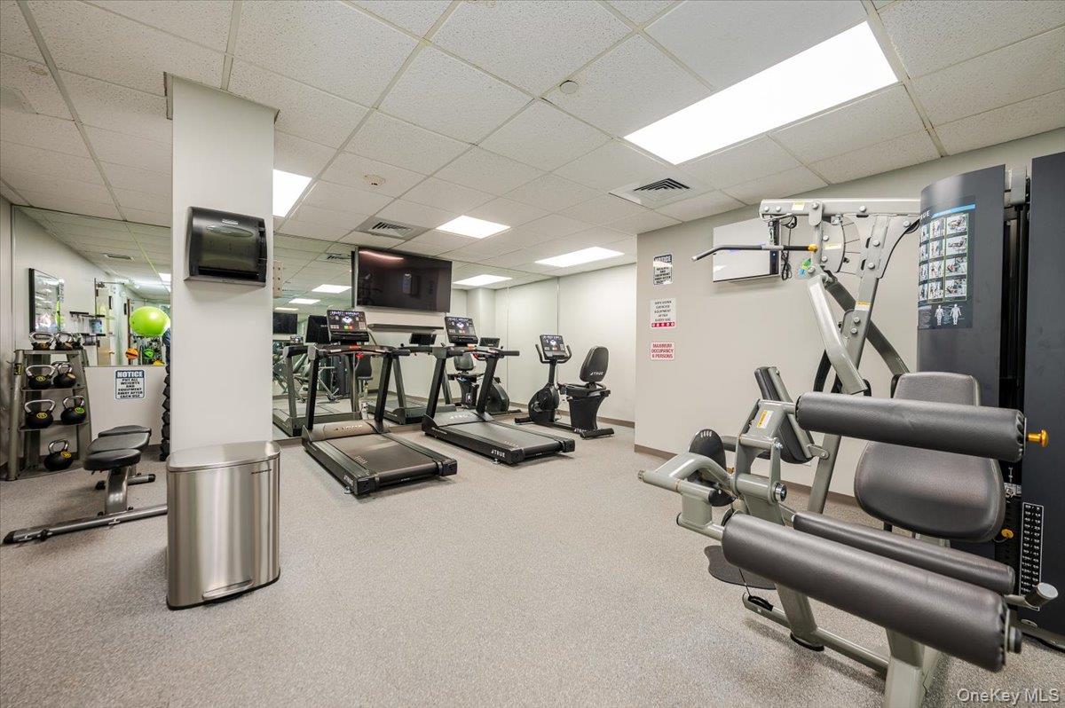 185 W Park Avenue, Unit 201 photo 19