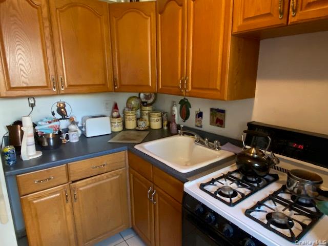 255-15 75th Avenue, Unit G-1 photo 6