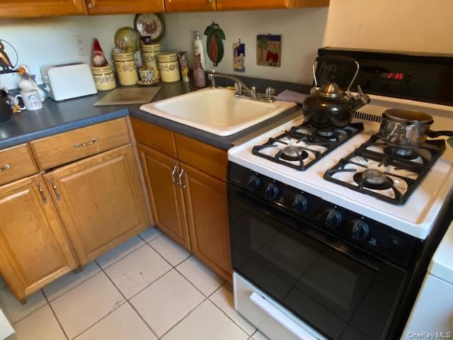 255-15 75th Avenue, Unit G-1 photo 8