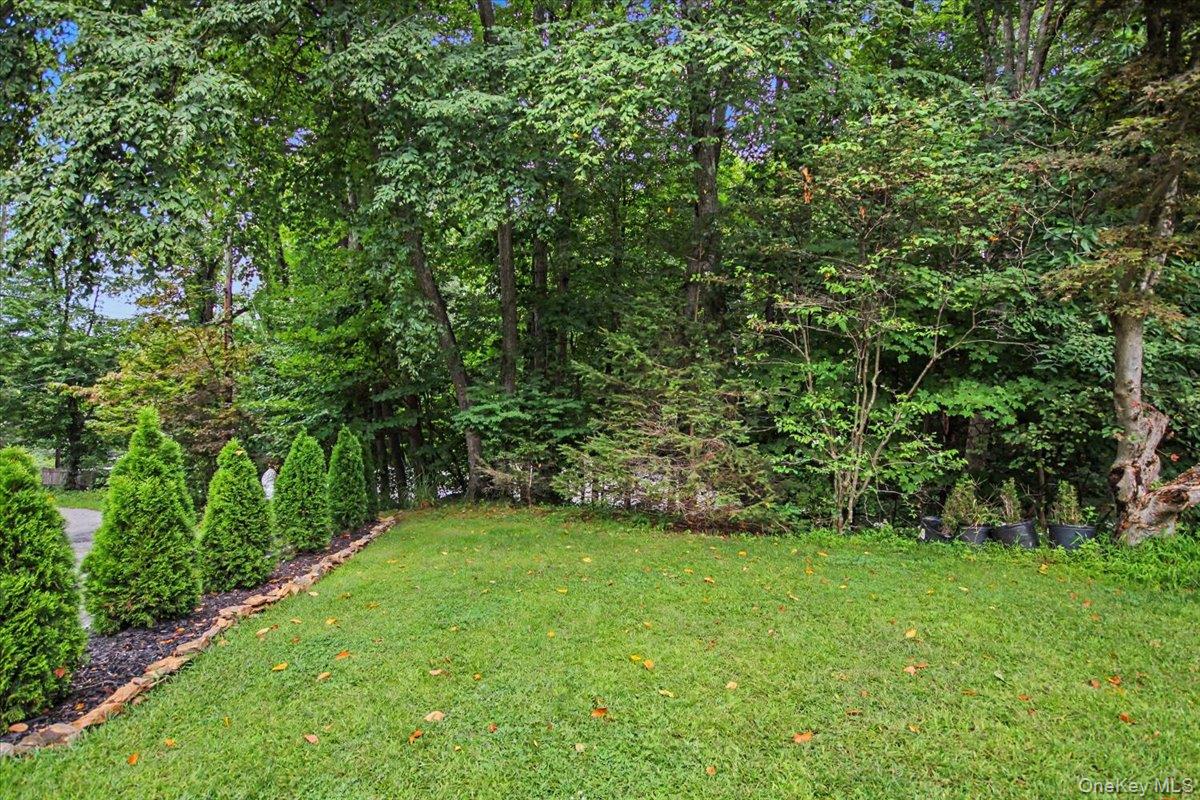 45 Hemlock Trail Court – For Sale photo 43