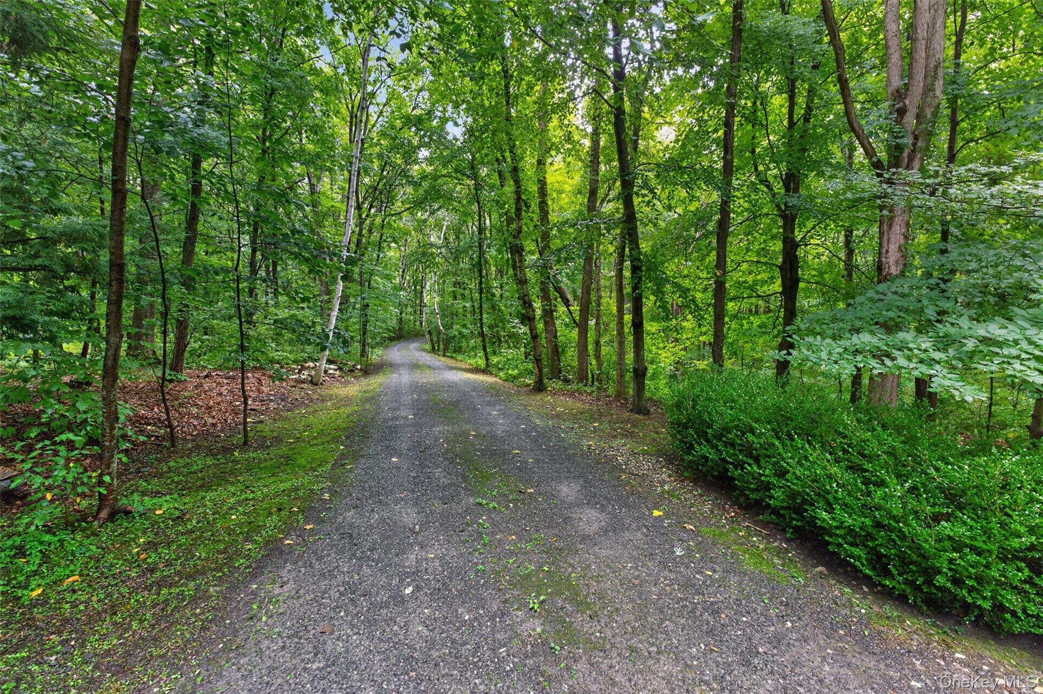 224 Under Mountain Road – For Sale photo 33