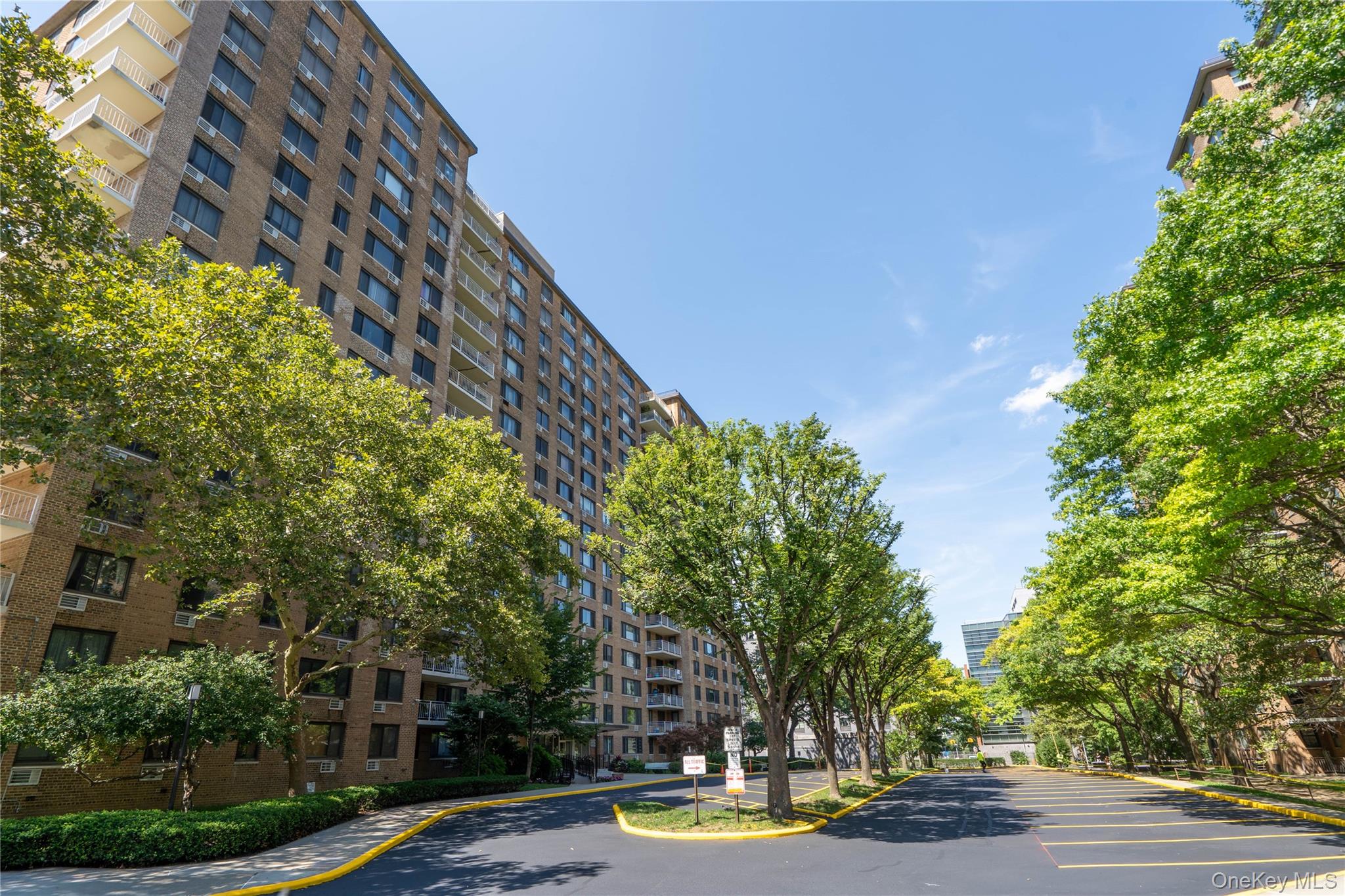 195 Willoughby Avenue, Unit 307 photo 13