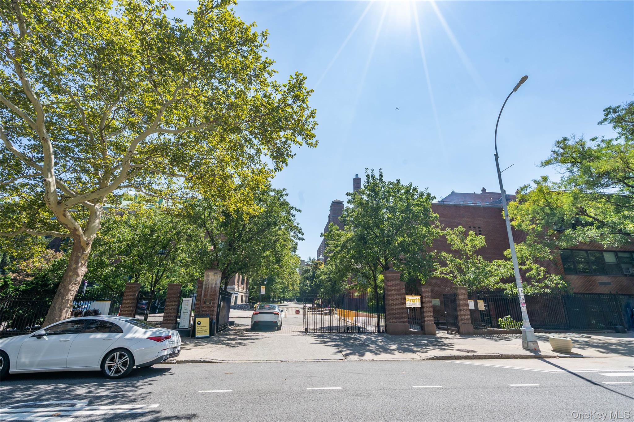 195 Willoughby Avenue, Unit 307 photo 14