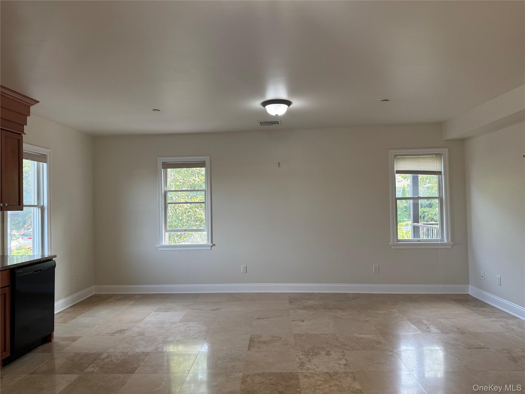 45-47 Spring Street, Unit 3C photo 4