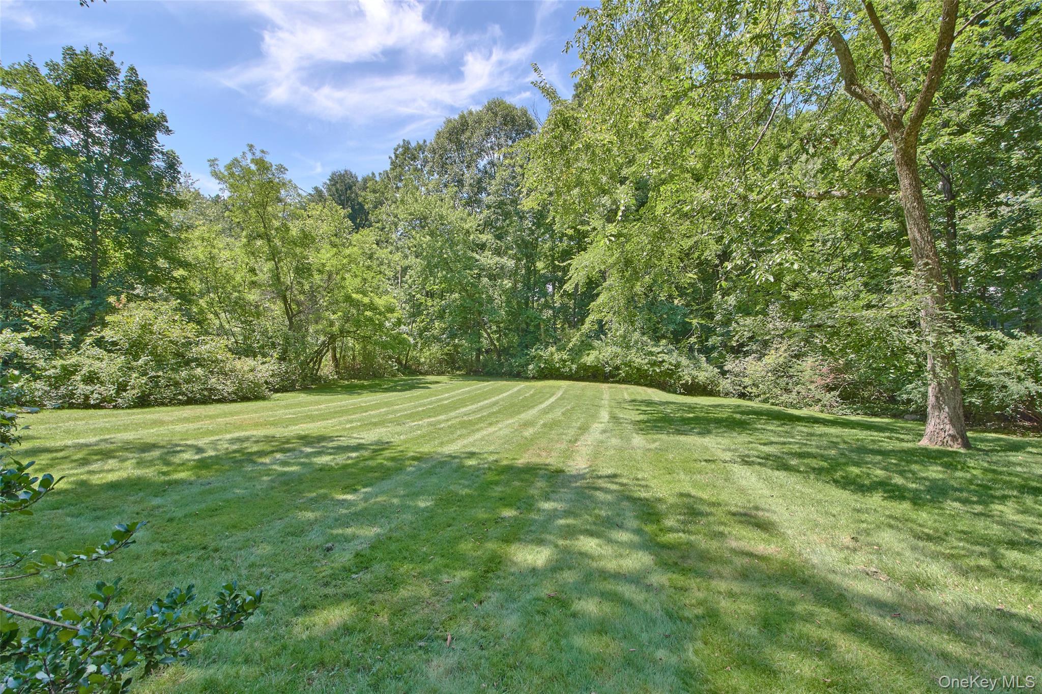 88 Brevoort Road – For Sale photo 3