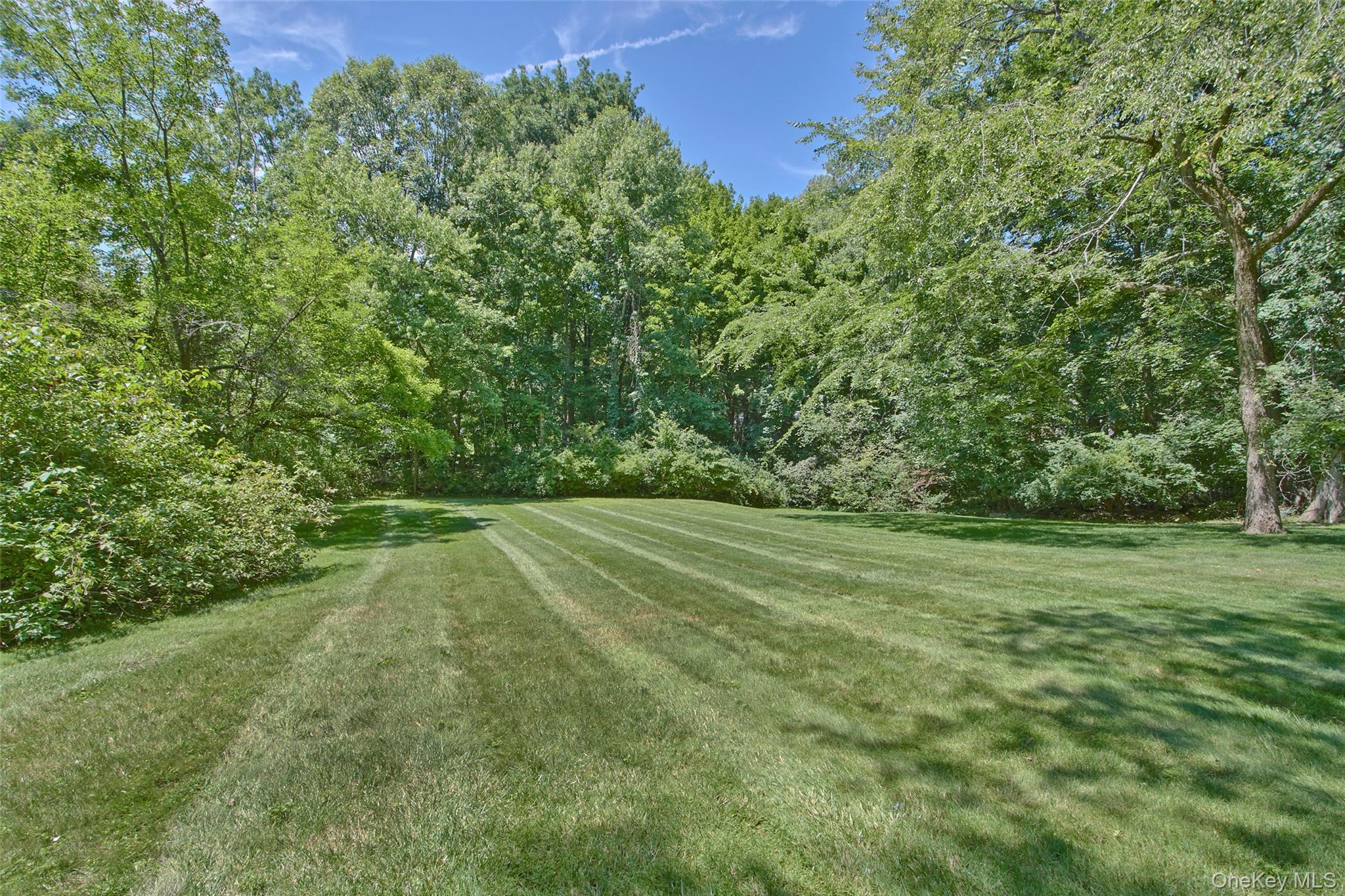 88 Brevoort Road – For Sale photo 4