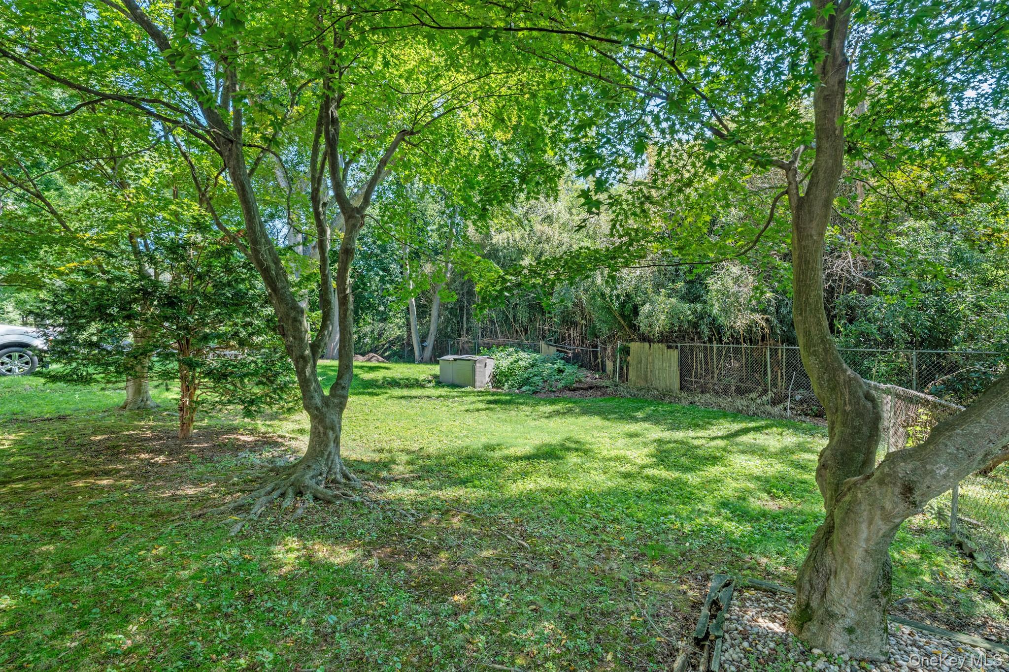 141 Homewood Avenue – For Sale photo 35