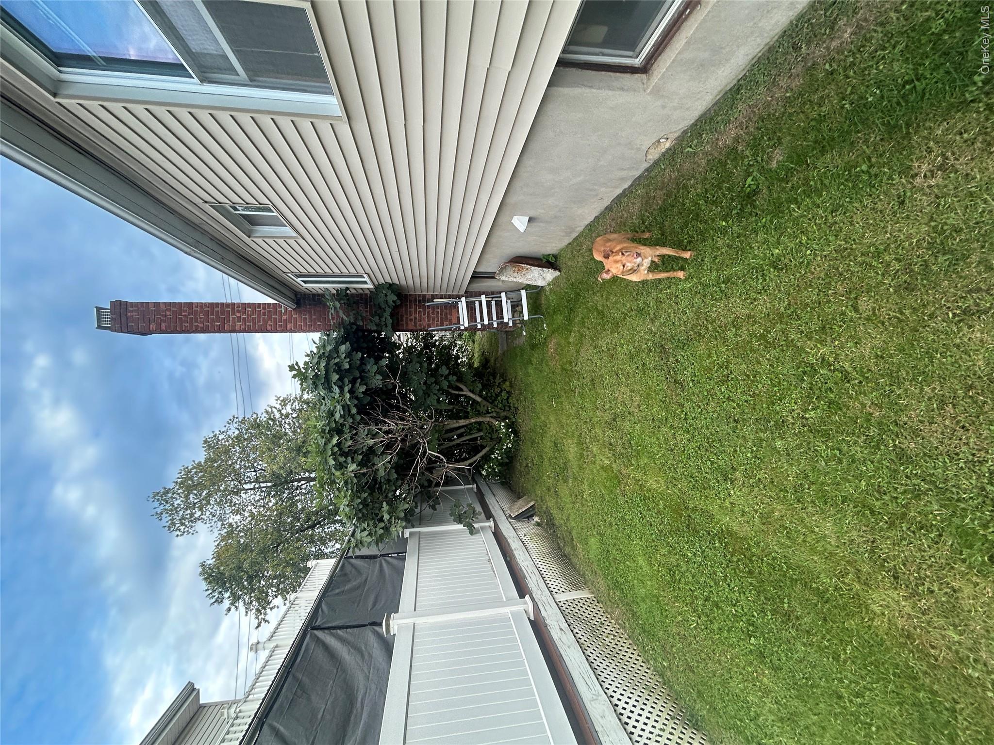 155D Edgewater Park, Unit 155D photo 28