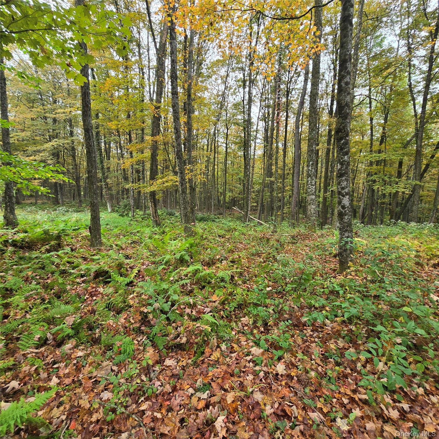 80 Swiss Hill Road N – For Sale photo 9
