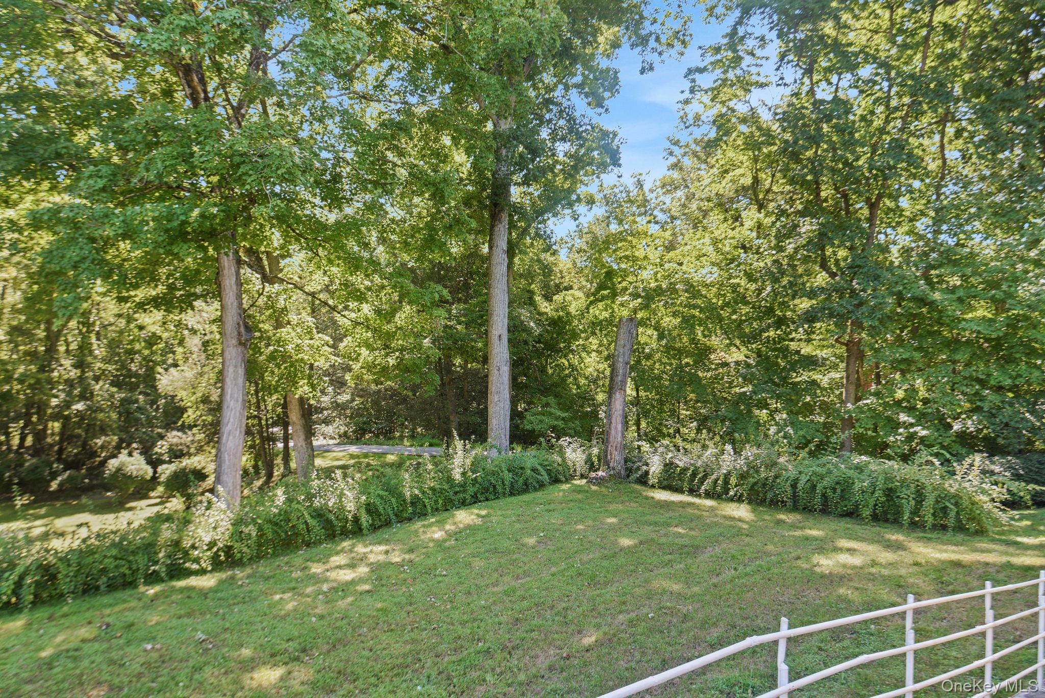 6 Arbutus Street – For Sale photo 24