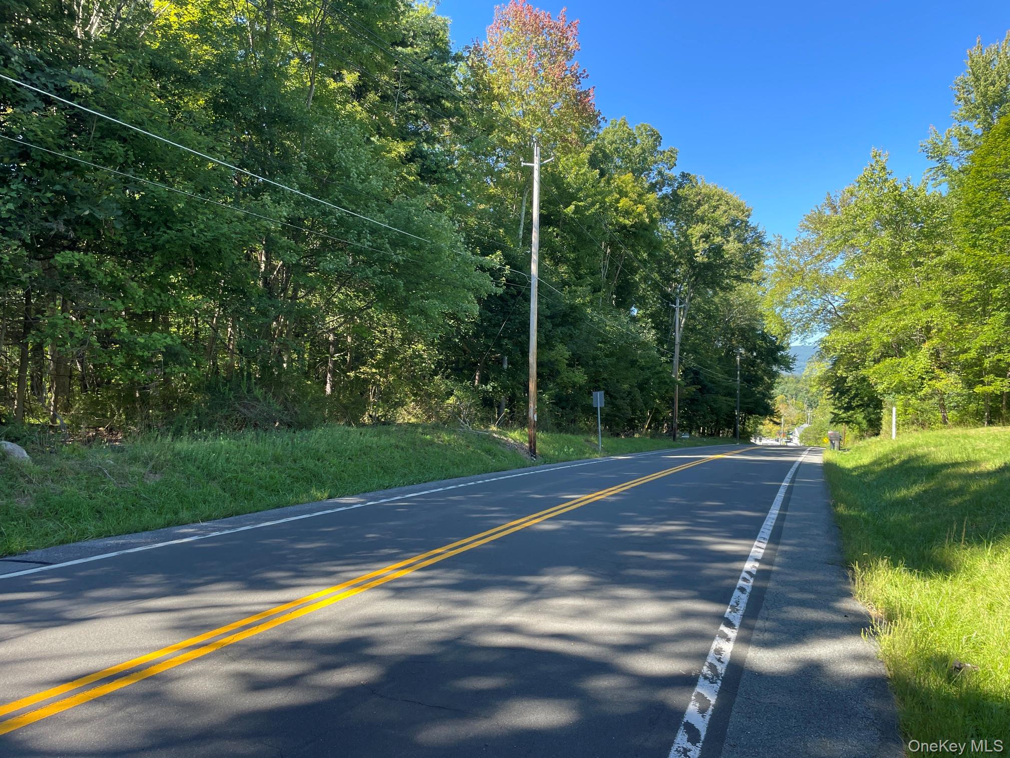 Co Rte 48 – For Sale photo 4