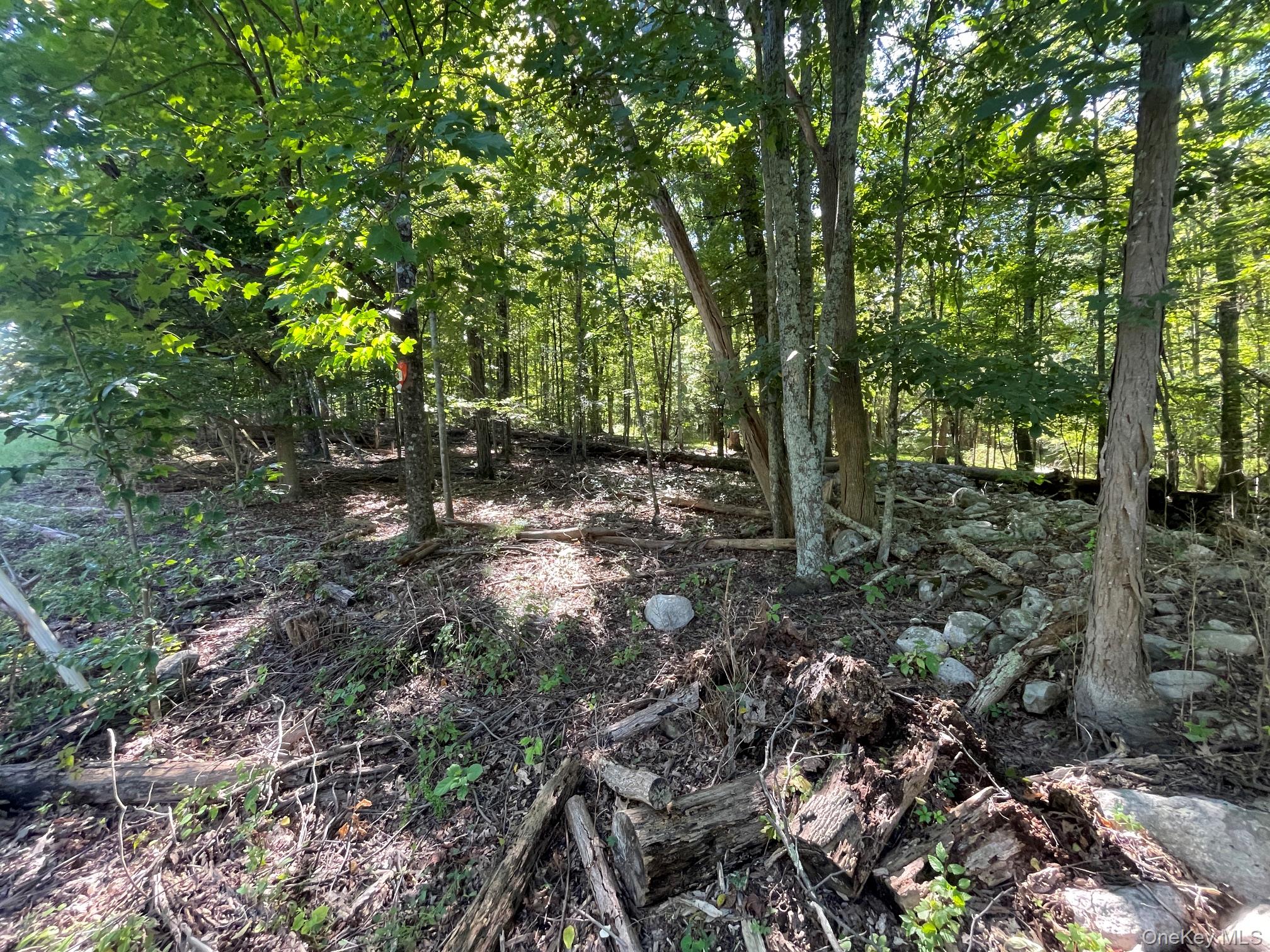 Co Rte 48 – For Sale photo 2