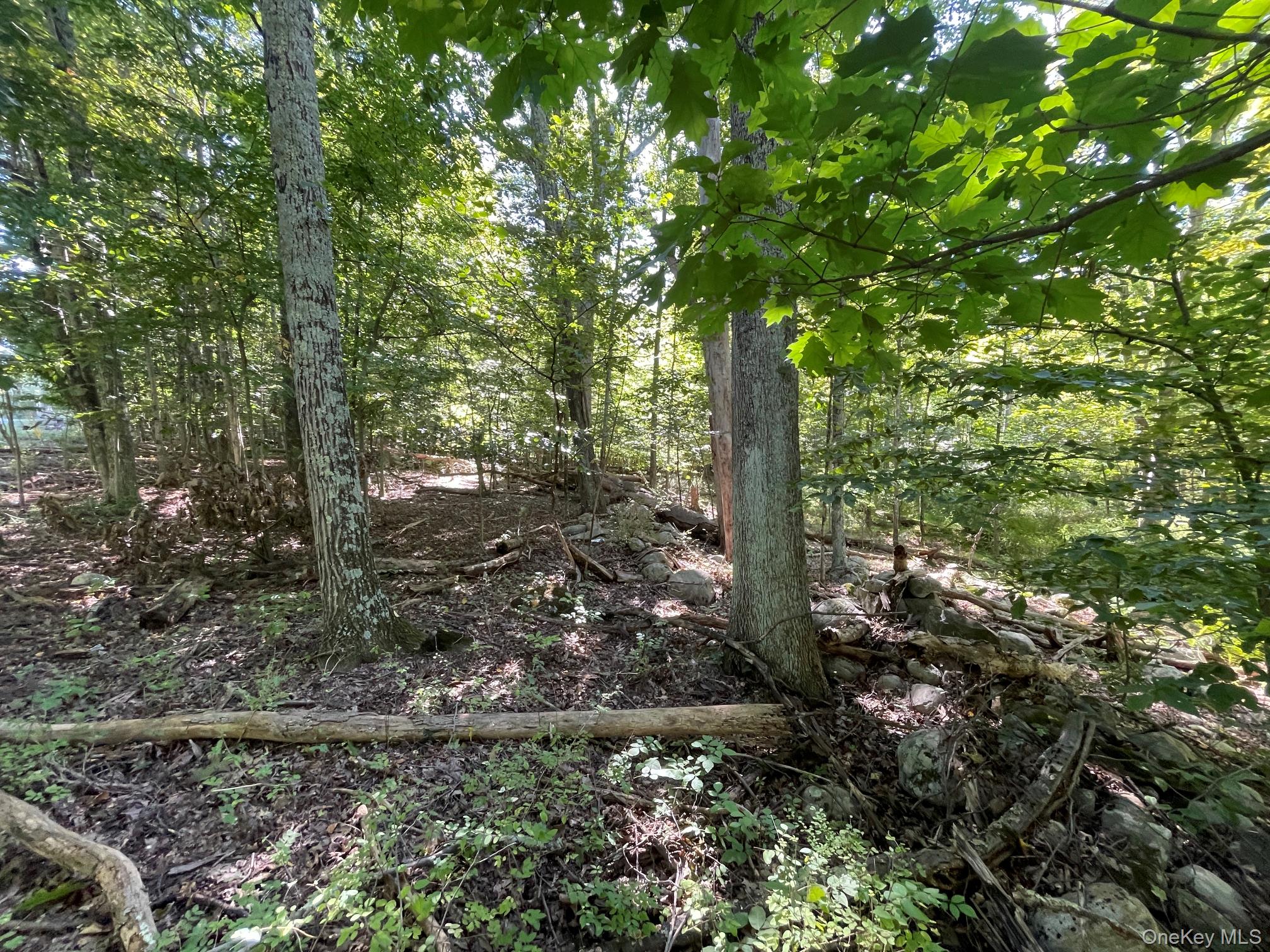 Co Rte 48 – For Sale photo 3
