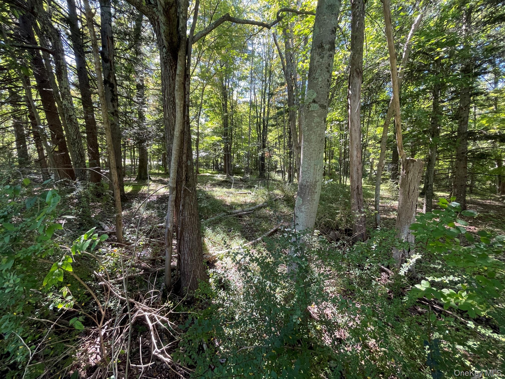 Co Rte 48 – For Sale photo 4