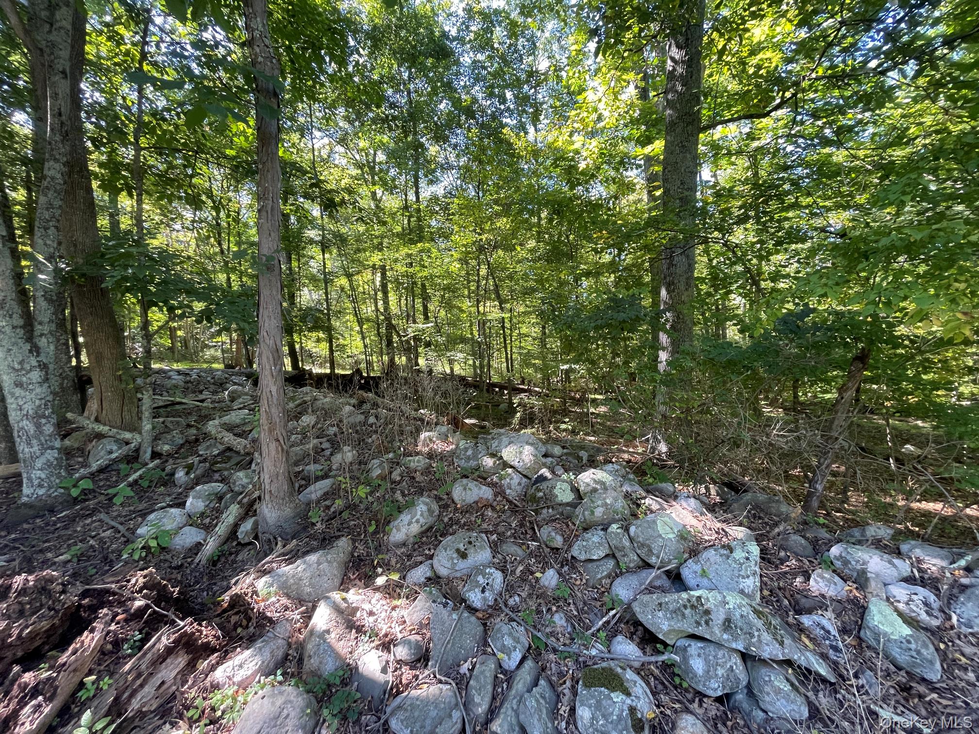 Co Rte 48 – For Sale photo 2
