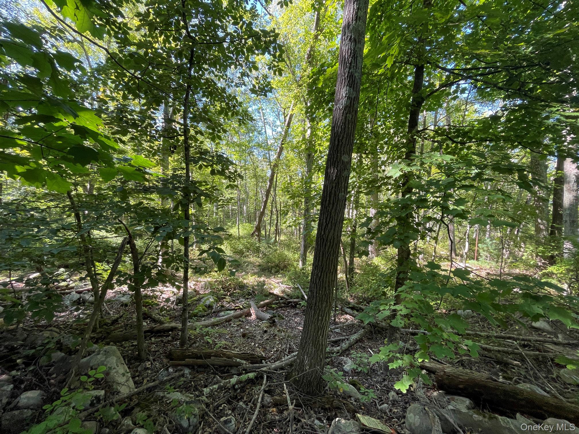 Co Rte 48 – For Sale photo 3